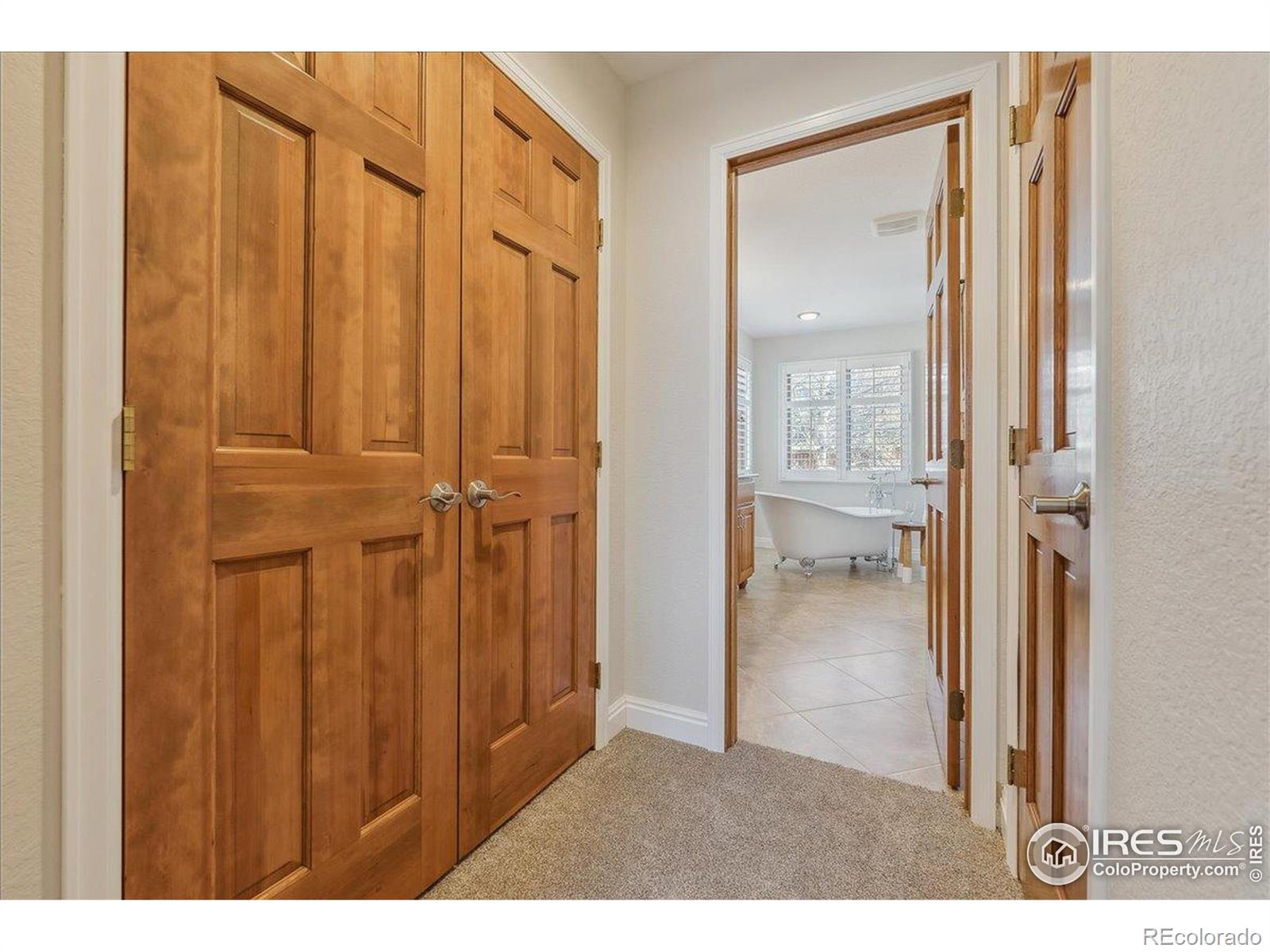 MLS Image #20 for 1030  ogden court,fort collins, Colorado