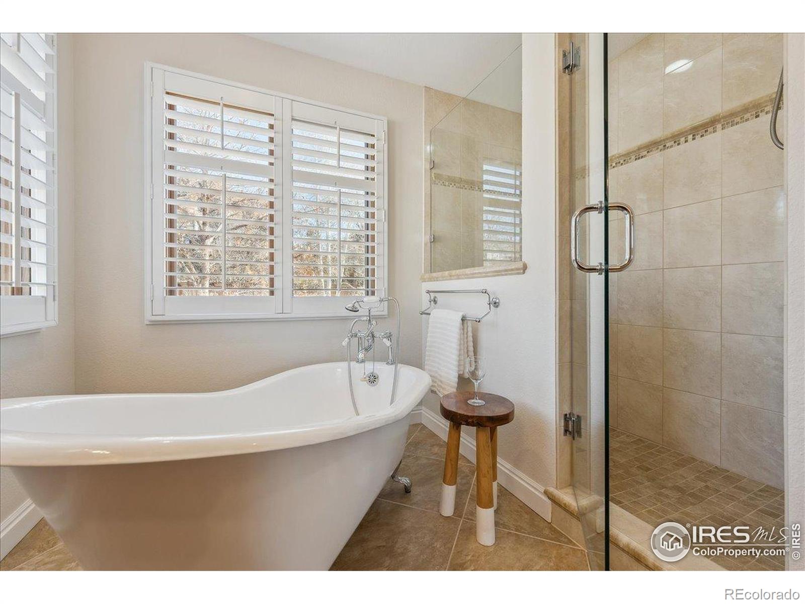 MLS Image #21 for 1030  ogden court,fort collins, Colorado