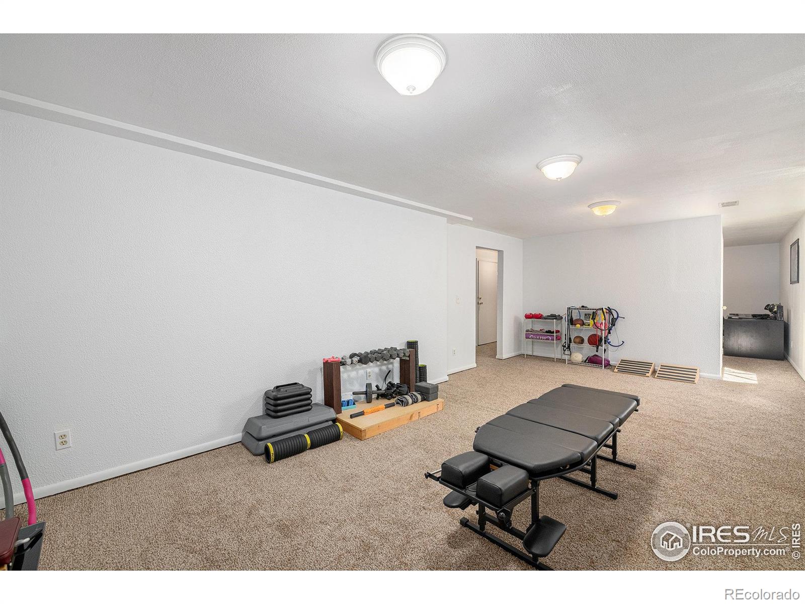 MLS Image #21 for 3515  omaha court,fort collins, Colorado