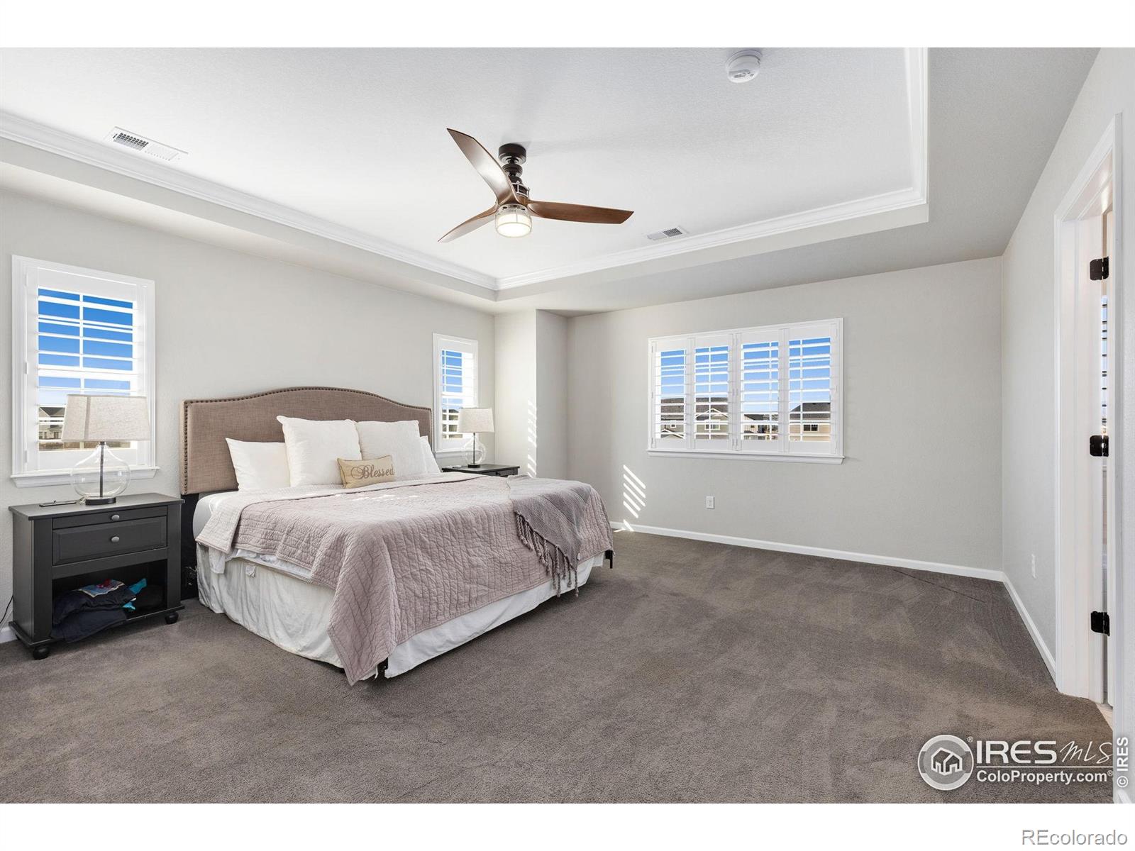 MLS Image #17 for 806  flora view drive,erie, Colorado