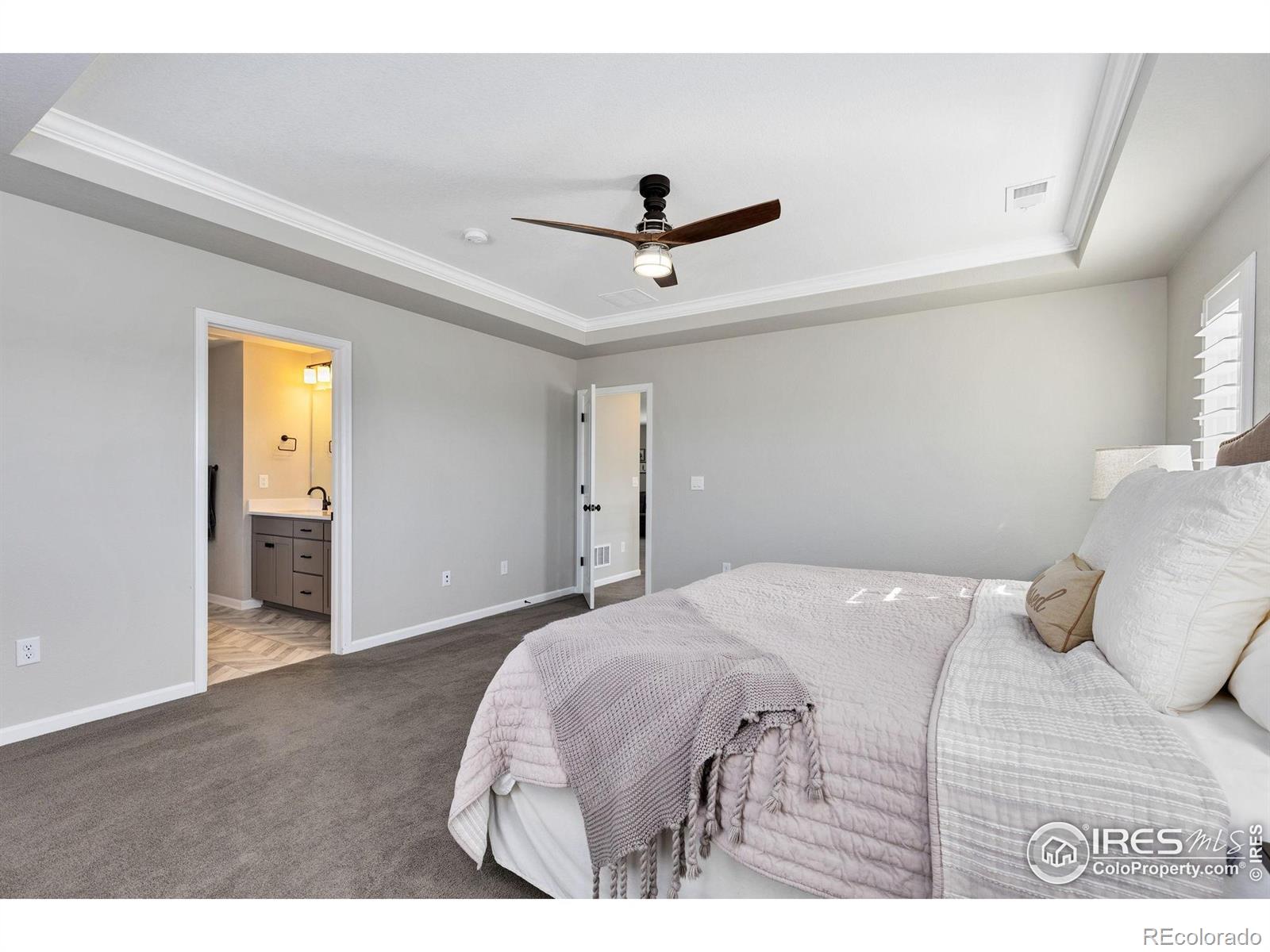 MLS Image #18 for 806  flora view drive,erie, Colorado
