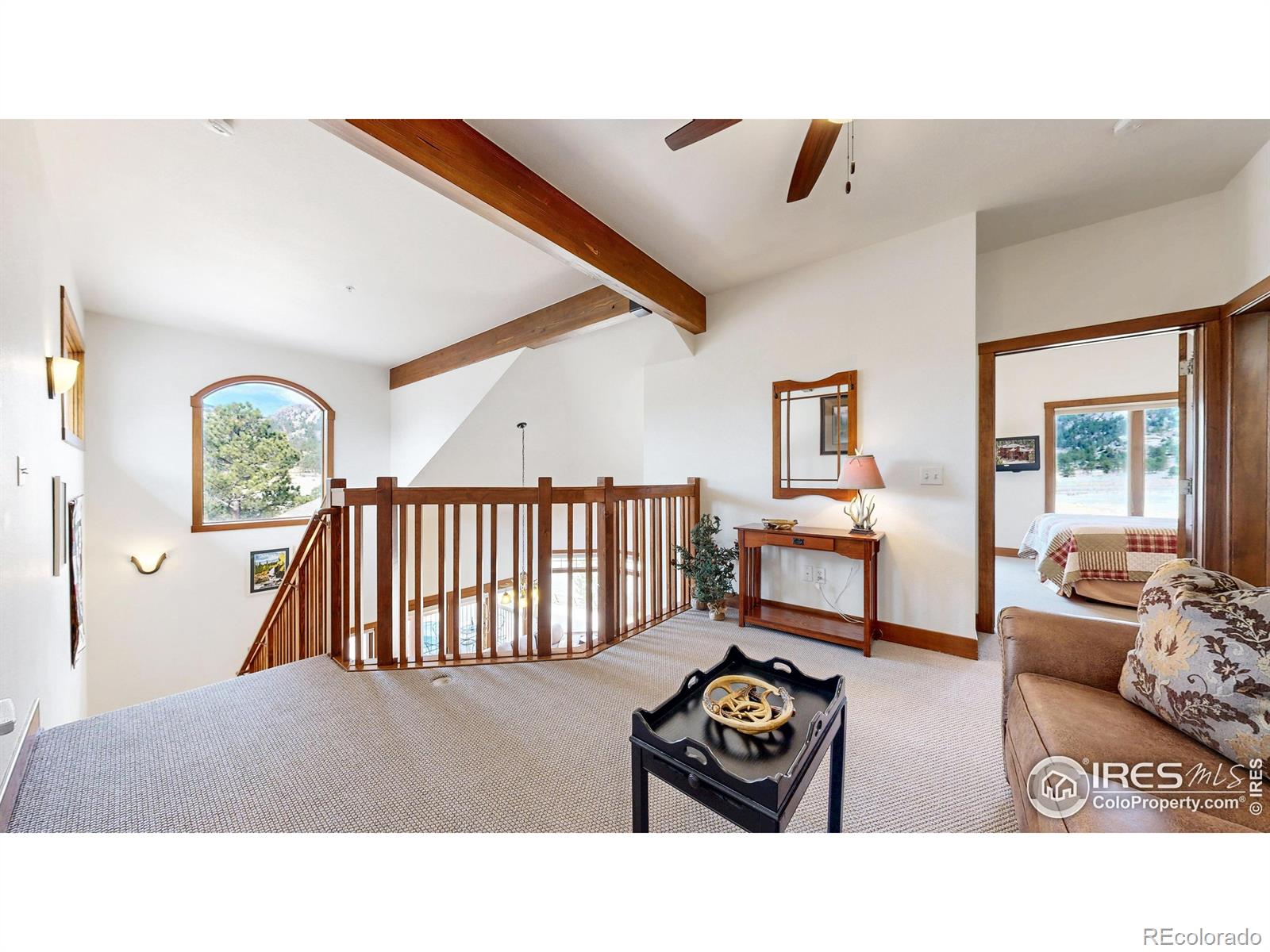 MLS Image #16 for 221  twin owls lane,estes park, Colorado