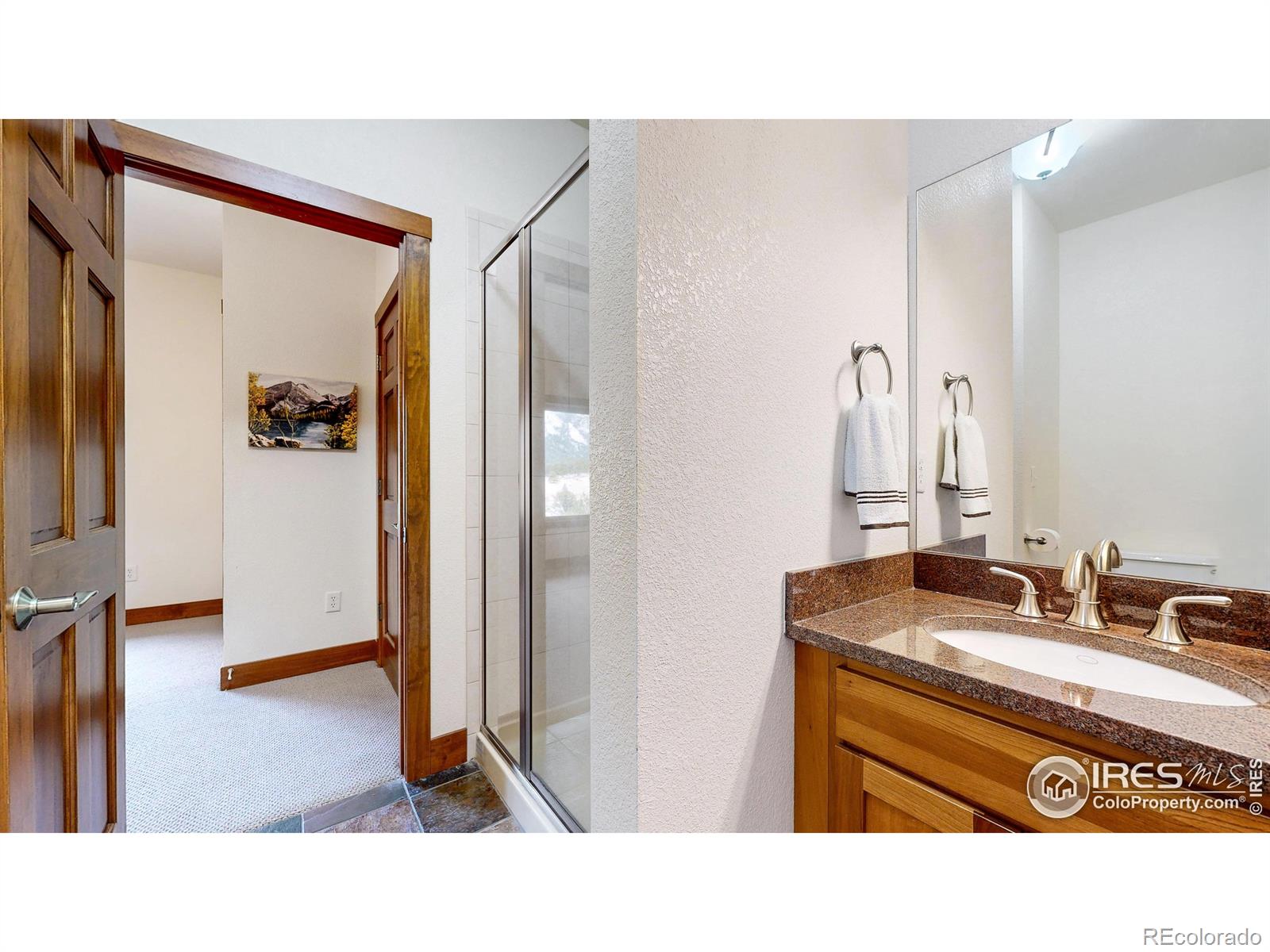 MLS Image #18 for 221  twin owls lane,estes park, Colorado