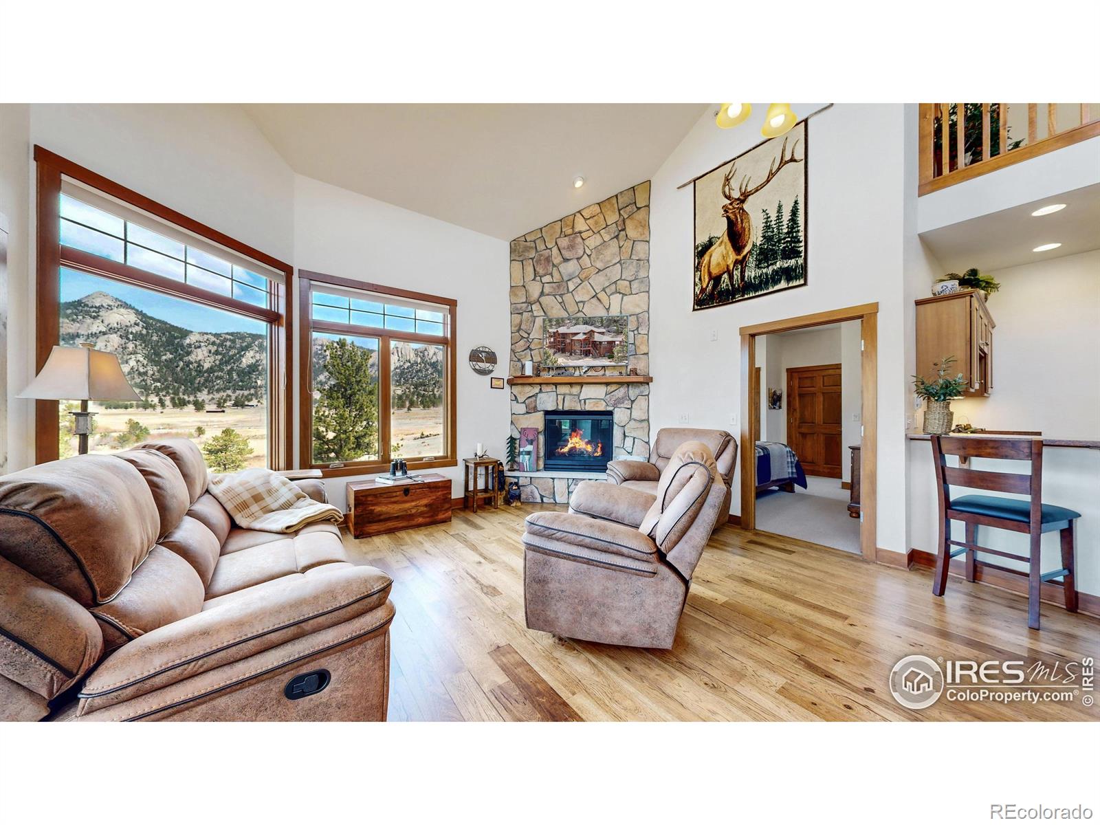 MLS Image #3 for 221  twin owls lane,estes park, Colorado