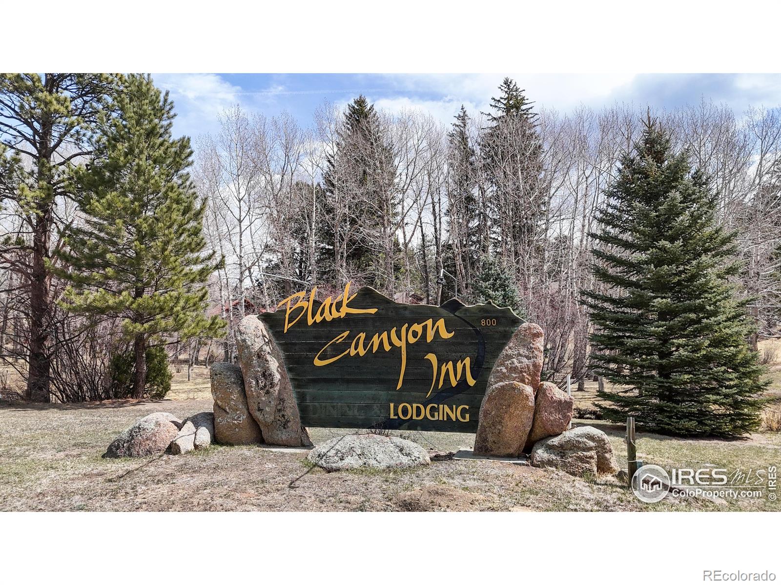 MLS Image #30 for 221  twin owls lane,estes park, Colorado