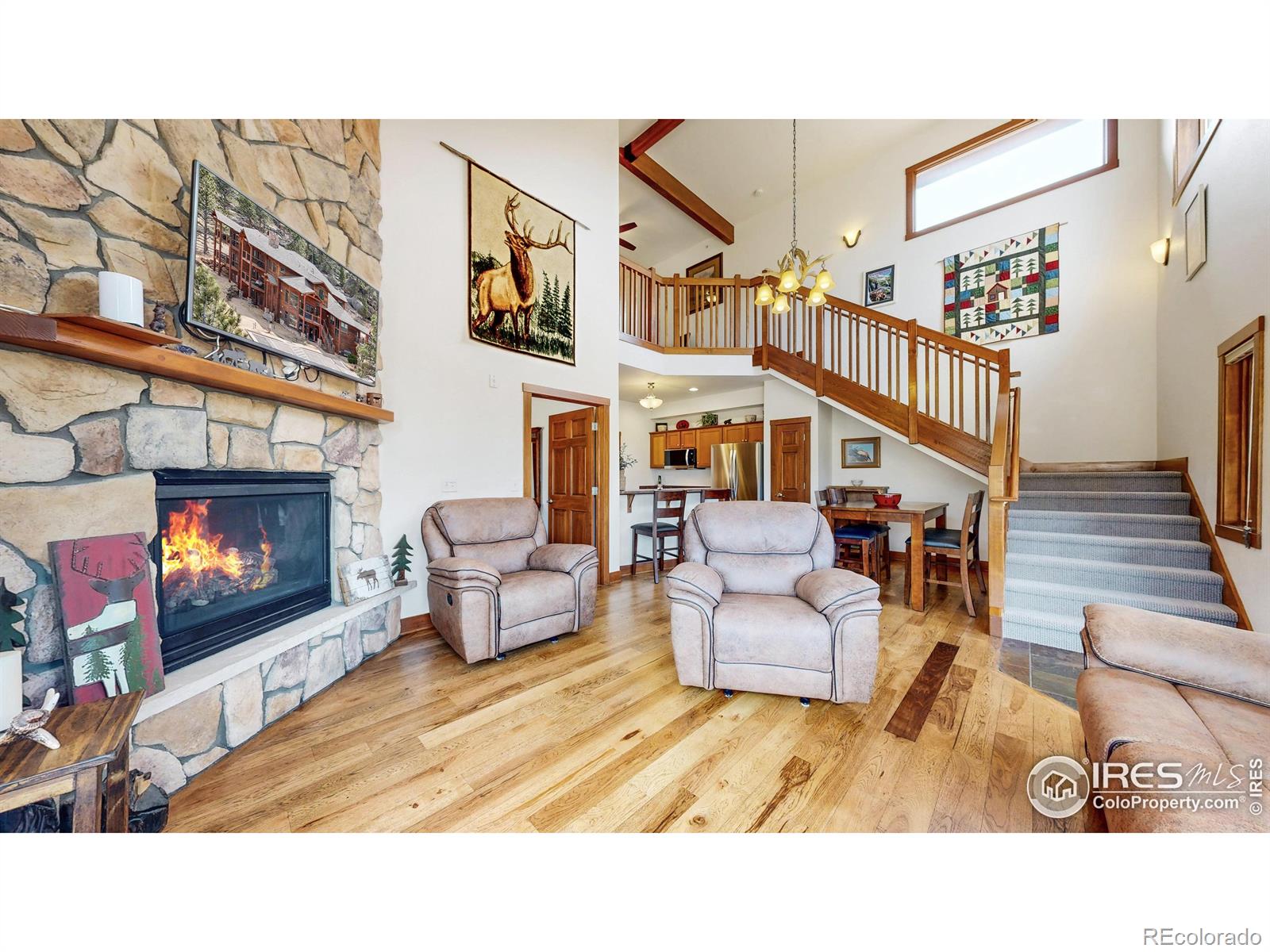 MLS Image #4 for 221  twin owls lane,estes park, Colorado