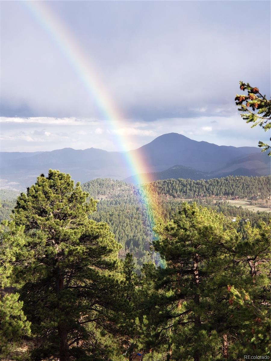 MLS Image #45 for 854  dick mountain drive,bailey, Colorado