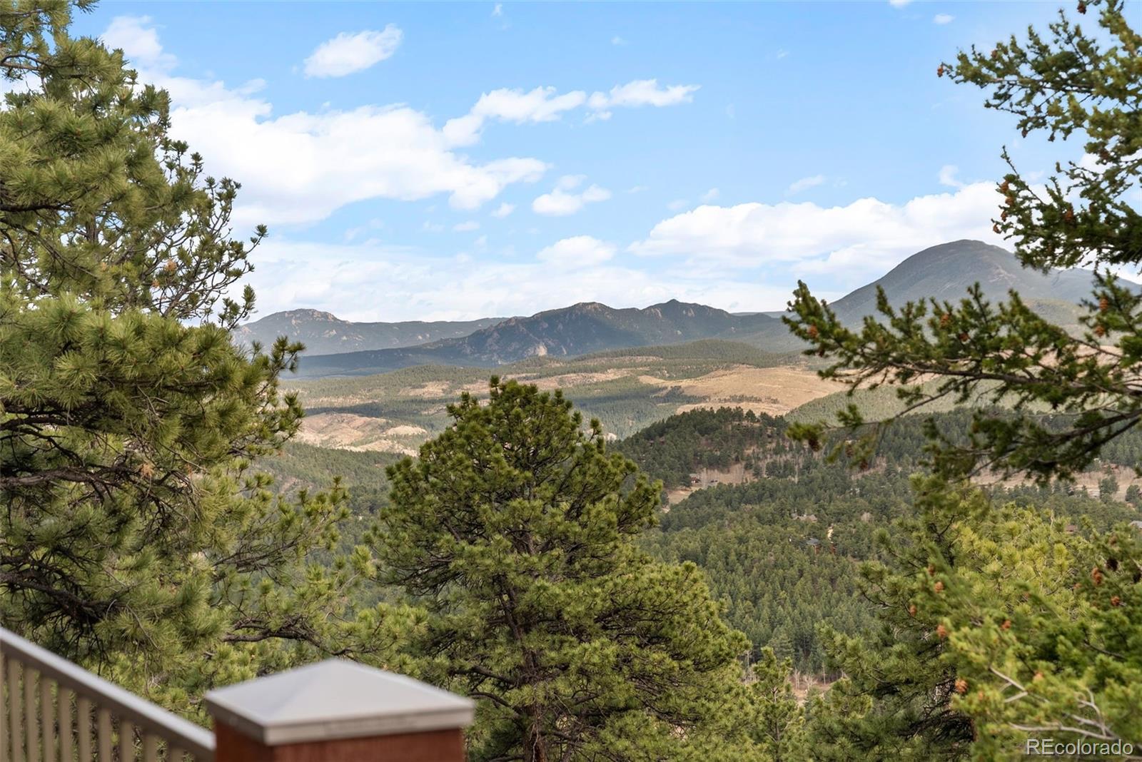 MLS Image #48 for 854  dick mountain drive,bailey, Colorado