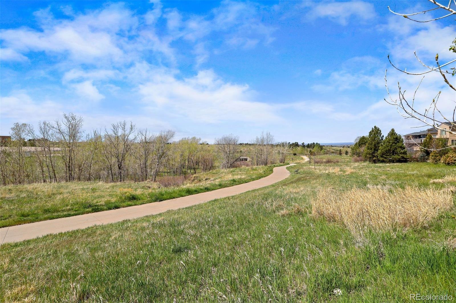 MLS Image #49 for 12187 s hidden trail court,parker, Colorado