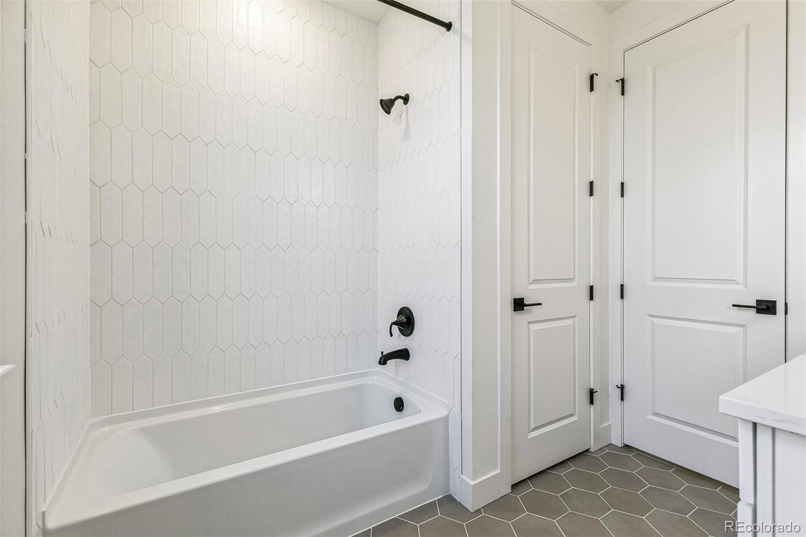 MLS Image #16 for 4331  soapberry place,castle rock, Colorado