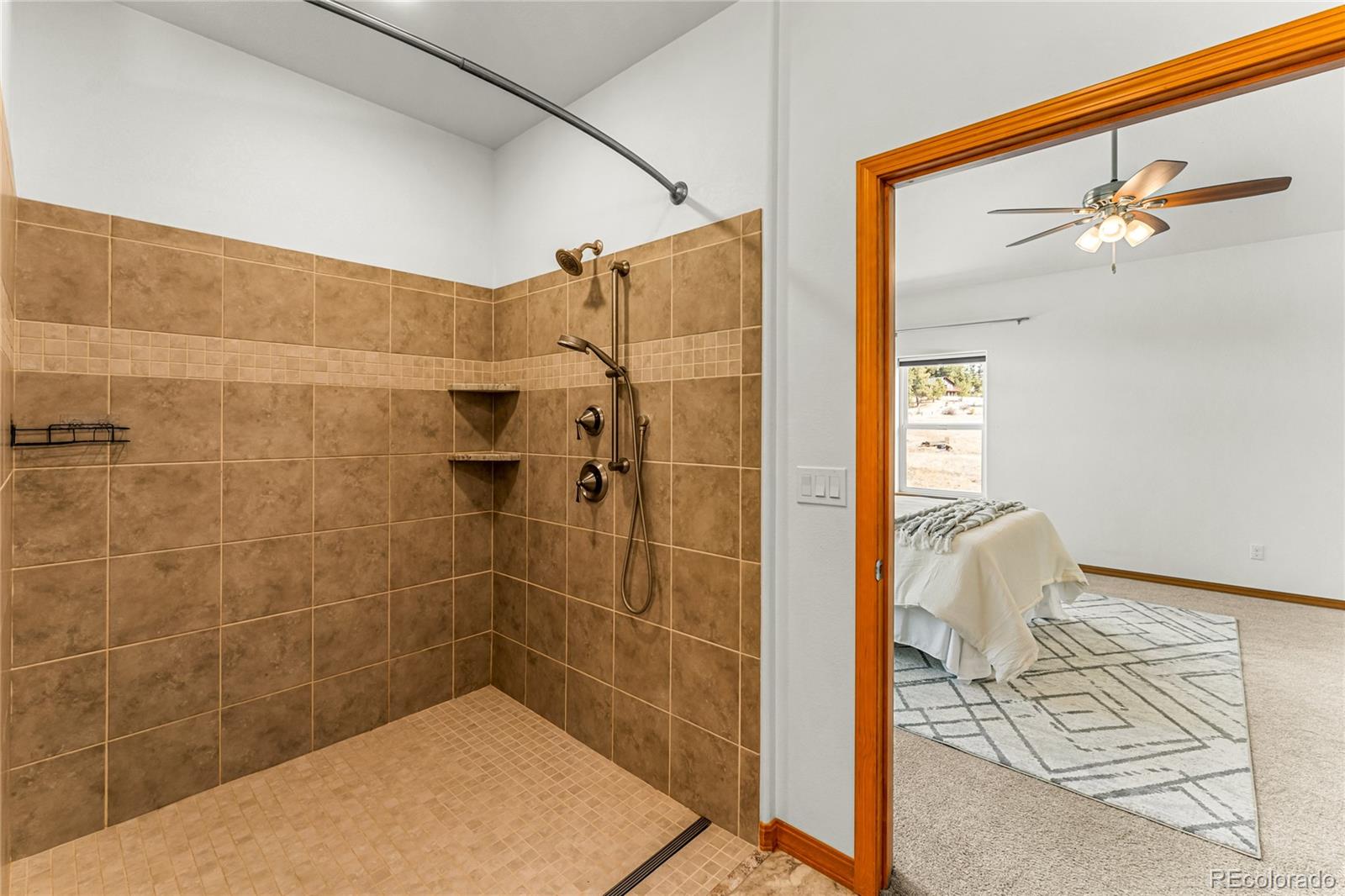 MLS Image #21 for 2649  southpark road,florissant, Colorado
