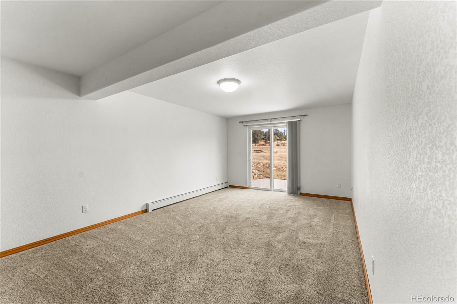MLS Image #25 for 2649  southpark road,florissant, Colorado