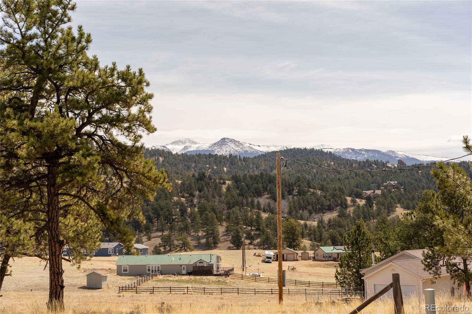 MLS Image #4 for 2649  southpark road,florissant, Colorado