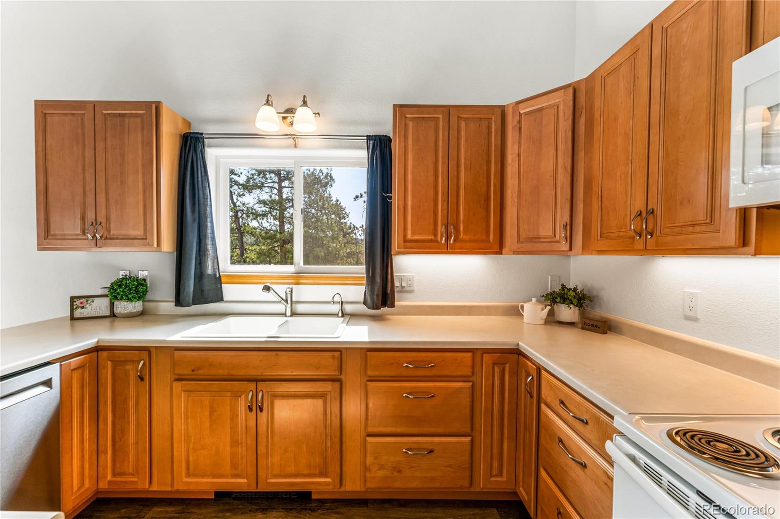 MLS Image #7 for 2649  southpark road,florissant, Colorado