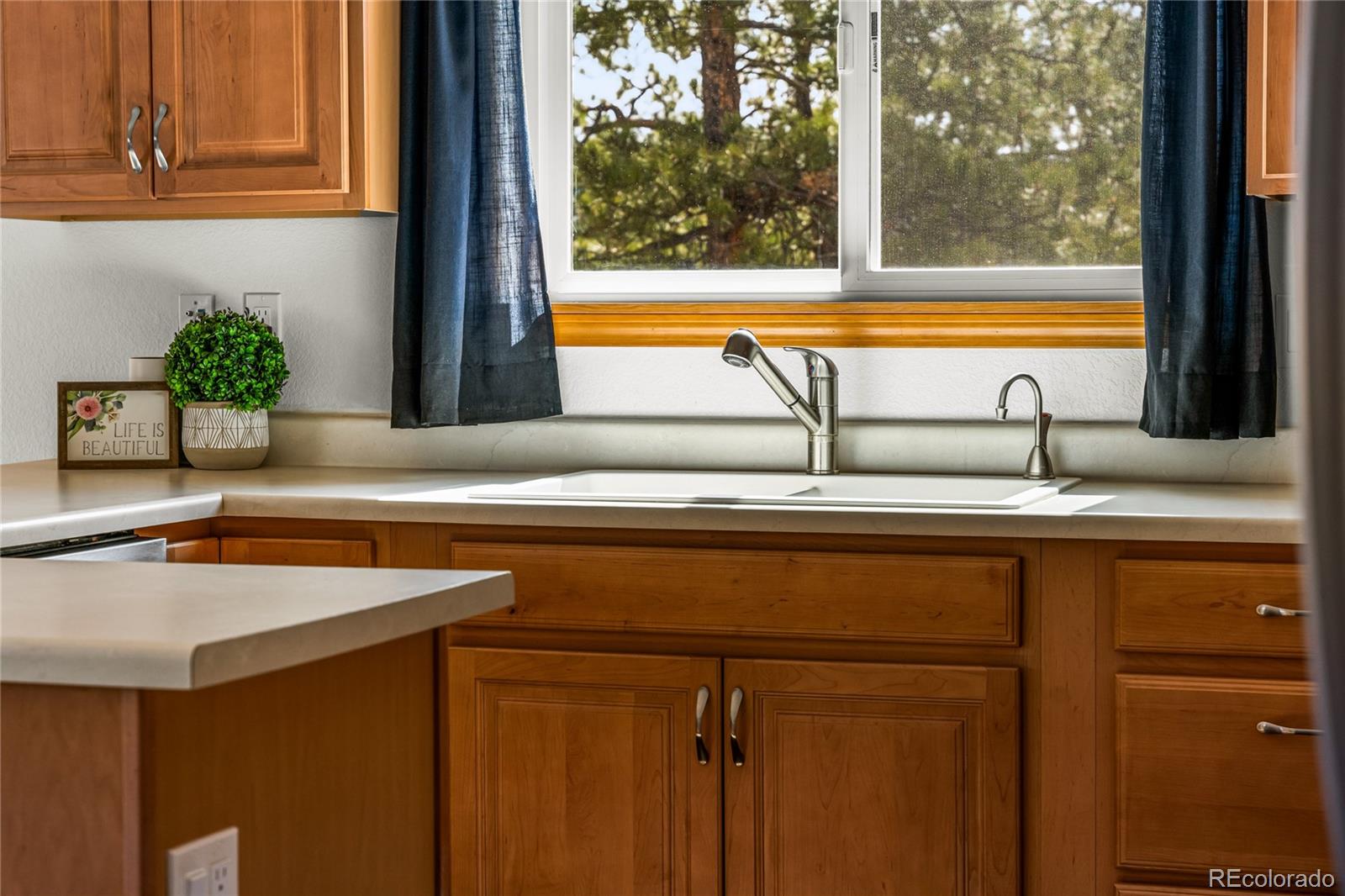 MLS Image #9 for 2649  southpark road,florissant, Colorado
