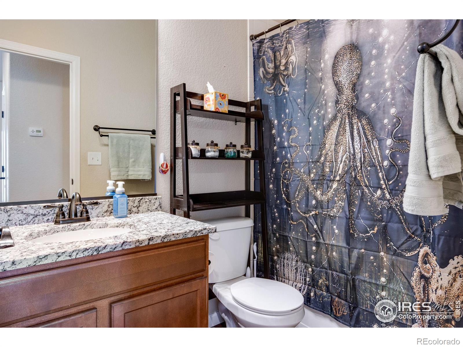 MLS Image #19 for 1393 s harvester drive,milliken, Colorado