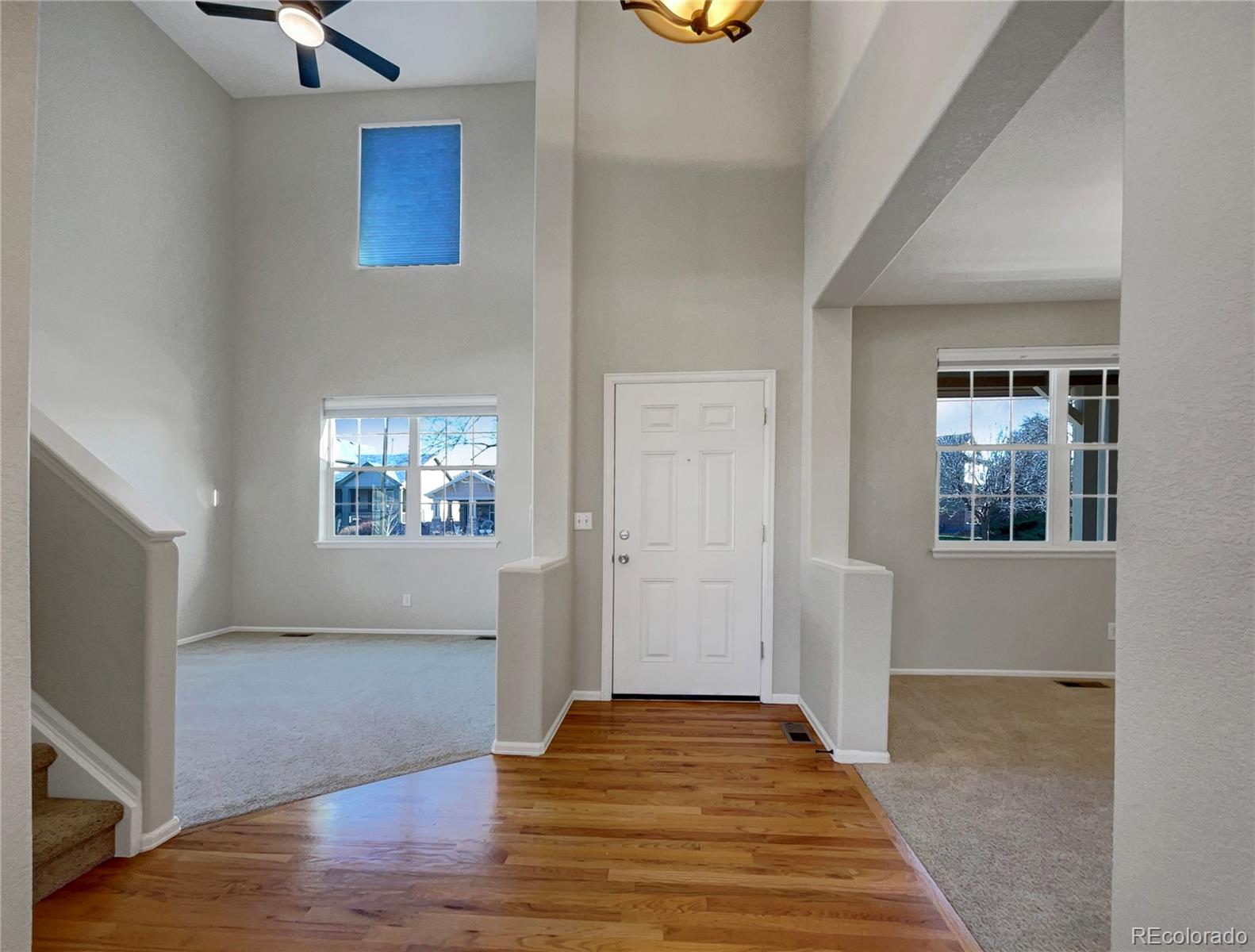 MLS Image #11 for 342  olympia avenue,longmont, Colorado