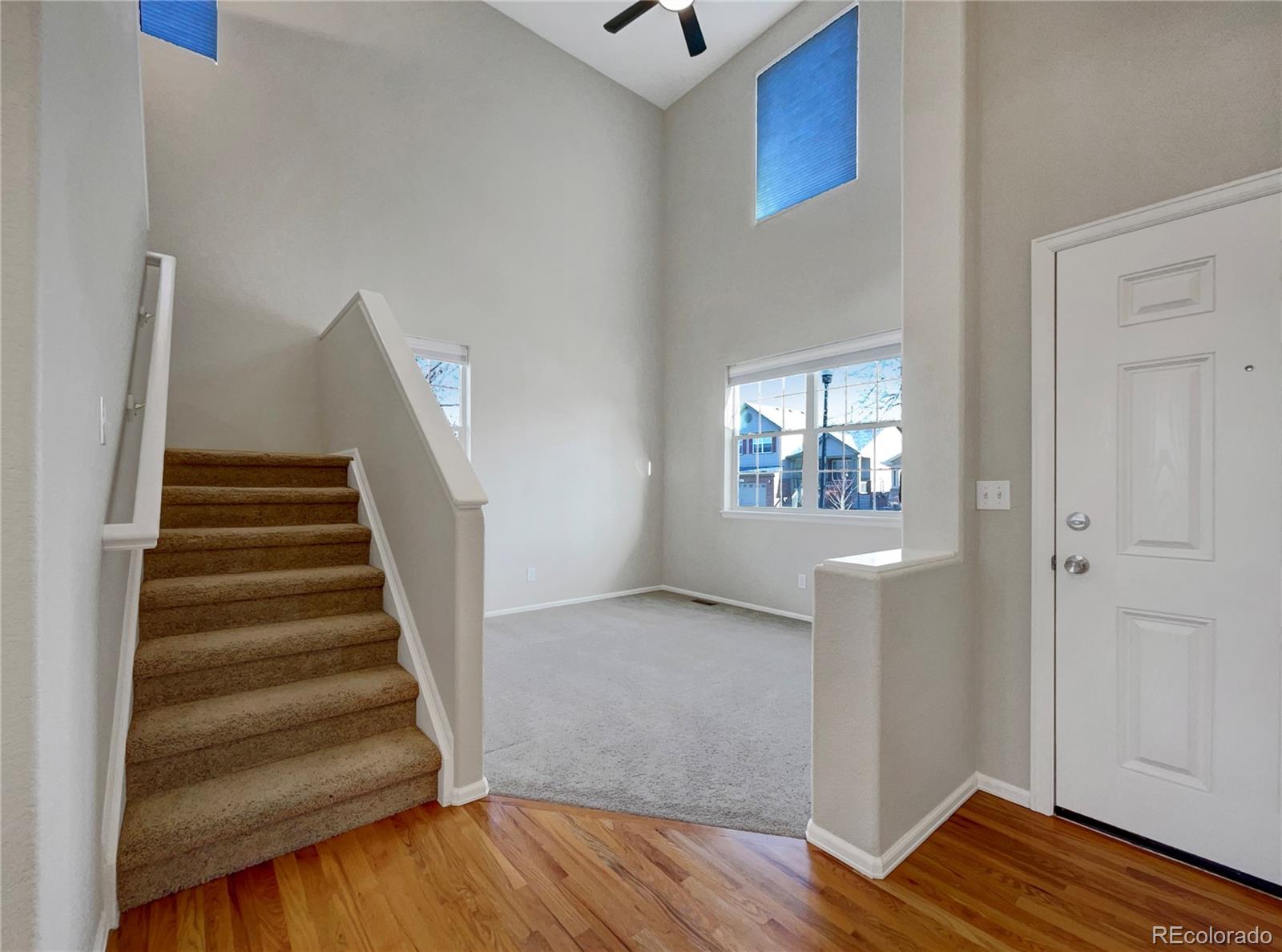 MLS Image #12 for 342  olympia avenue,longmont, Colorado