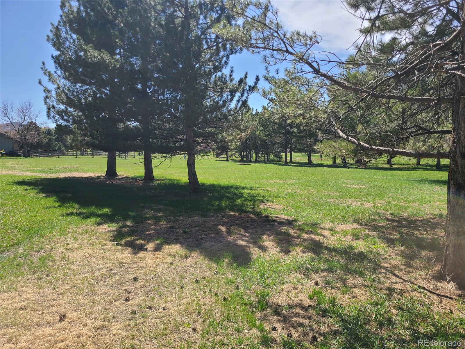 MLS Image #5 for 5521  colorow drive,morrison, Colorado