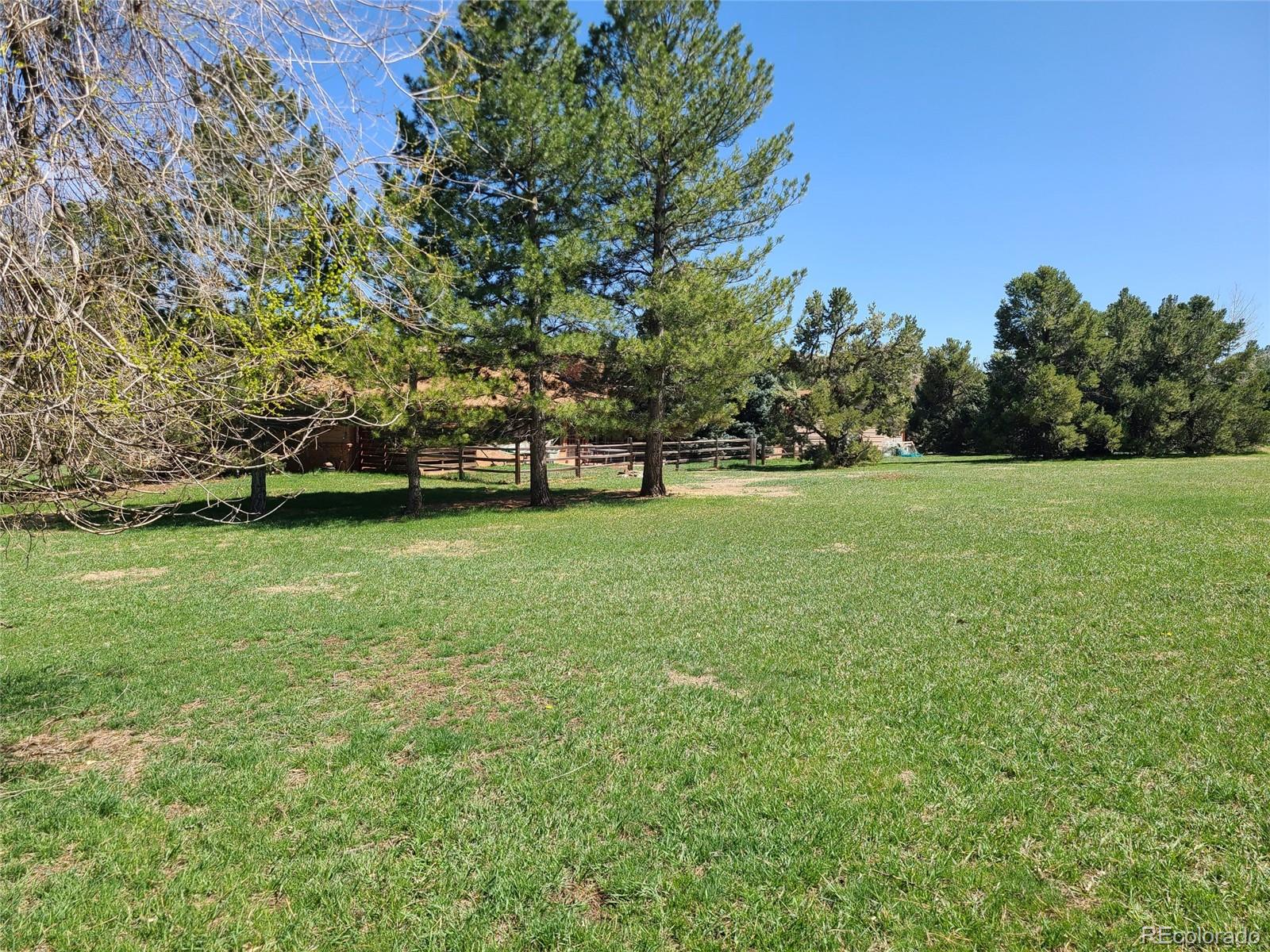 MLS Image #6 for 5521  colorow drive,morrison, Colorado