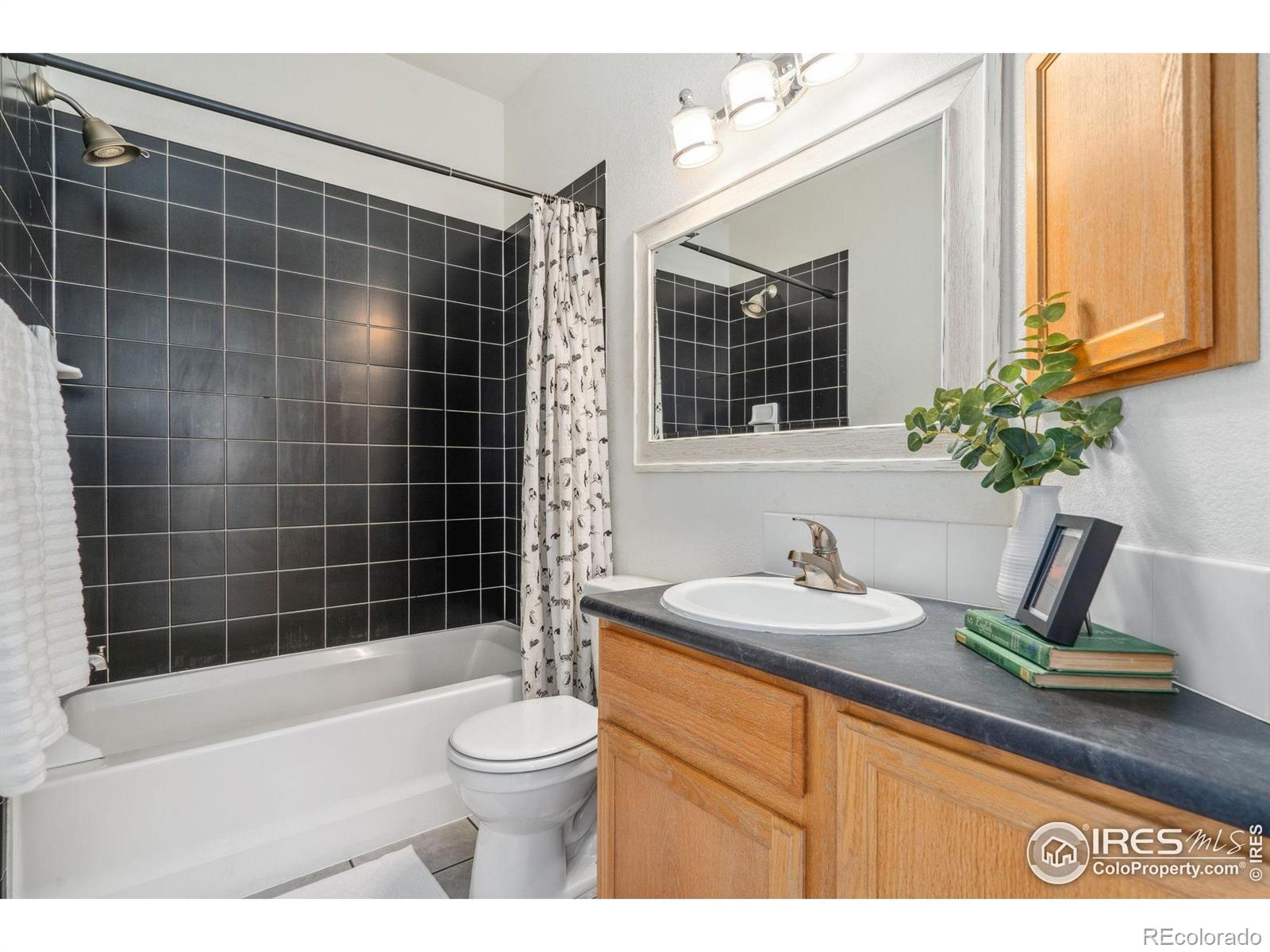 MLS Image #15 for 2921  kansas drive,fort collins, Colorado