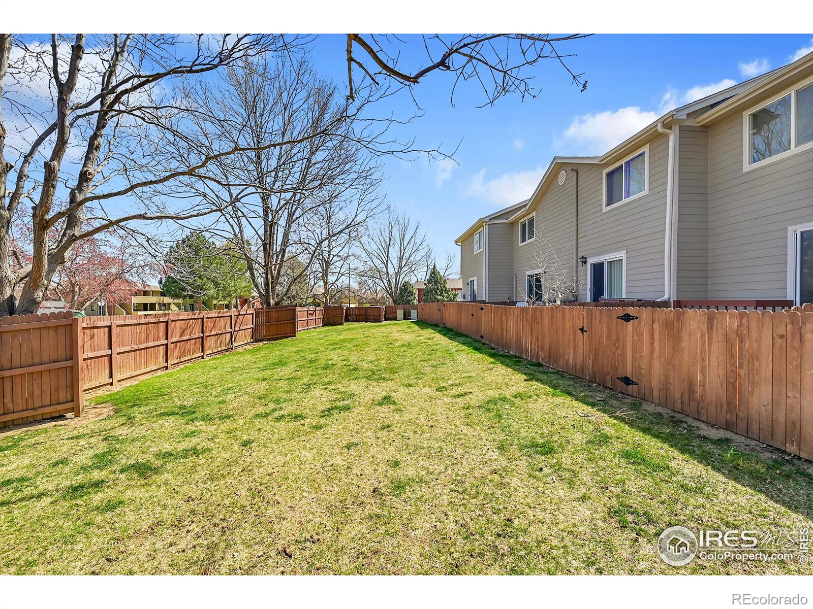 MLS Image #18 for 1202  warrior way,lafayette, Colorado