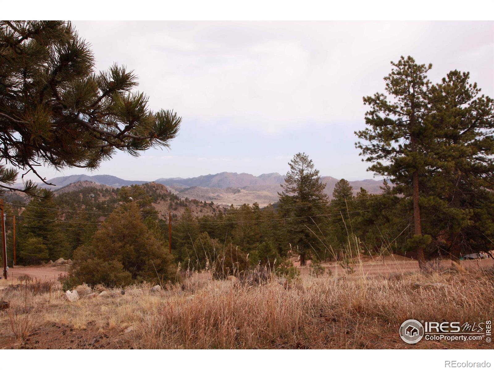 MLS Image #15 for 31  mckenna court,livermore, Colorado