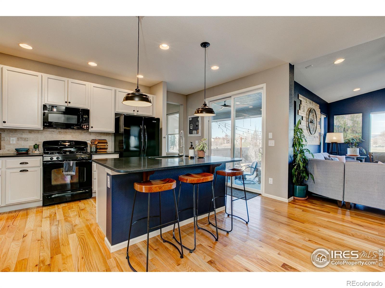 MLS Image #10 for 5703  big canyon drive,fort collins, Colorado