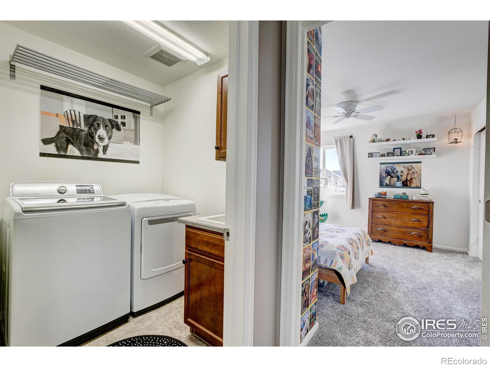 MLS Image #26 for 5703  big canyon drive,fort collins, Colorado