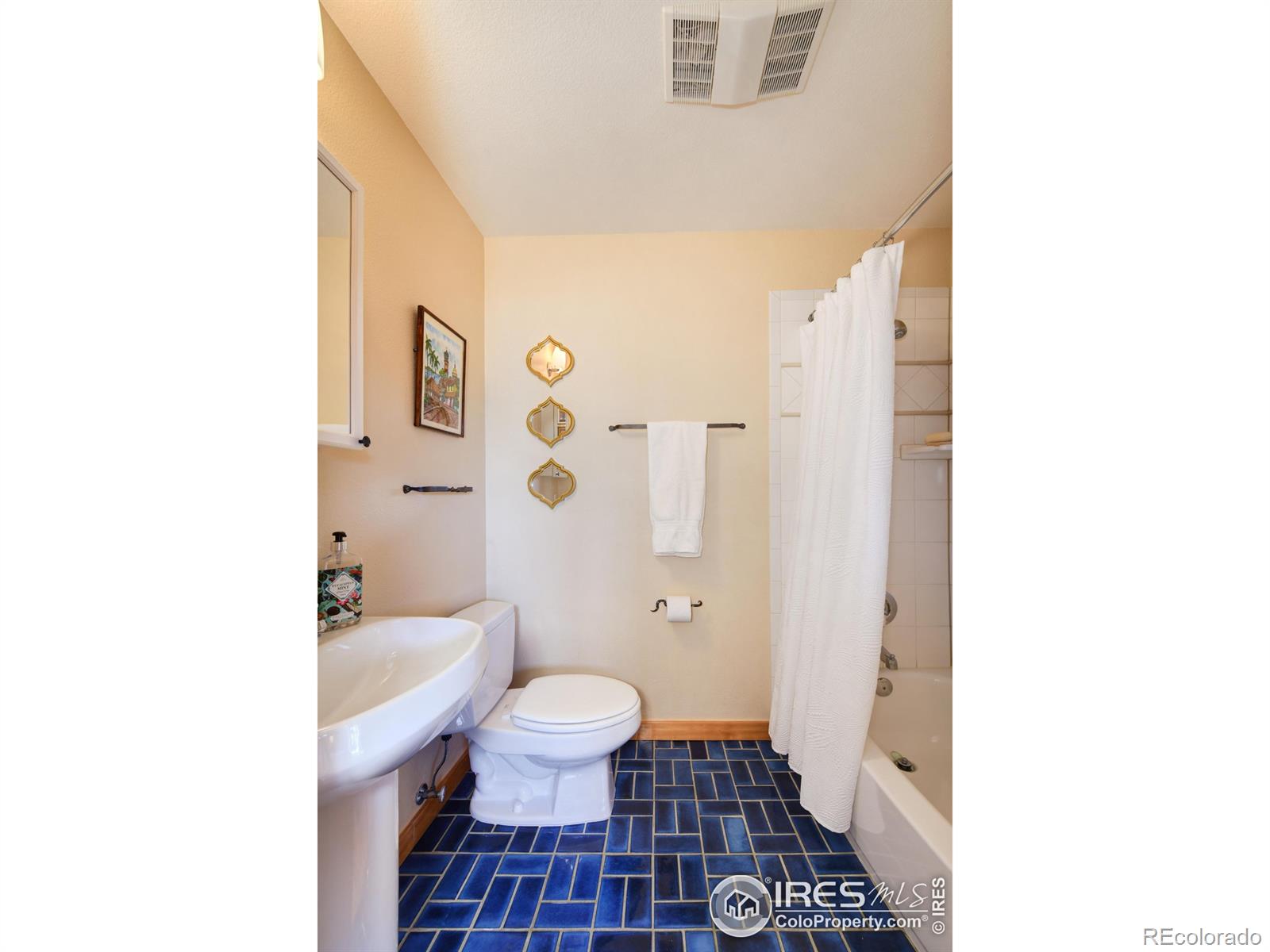 MLS Image #12 for 6363  lake drive,longmont, Colorado