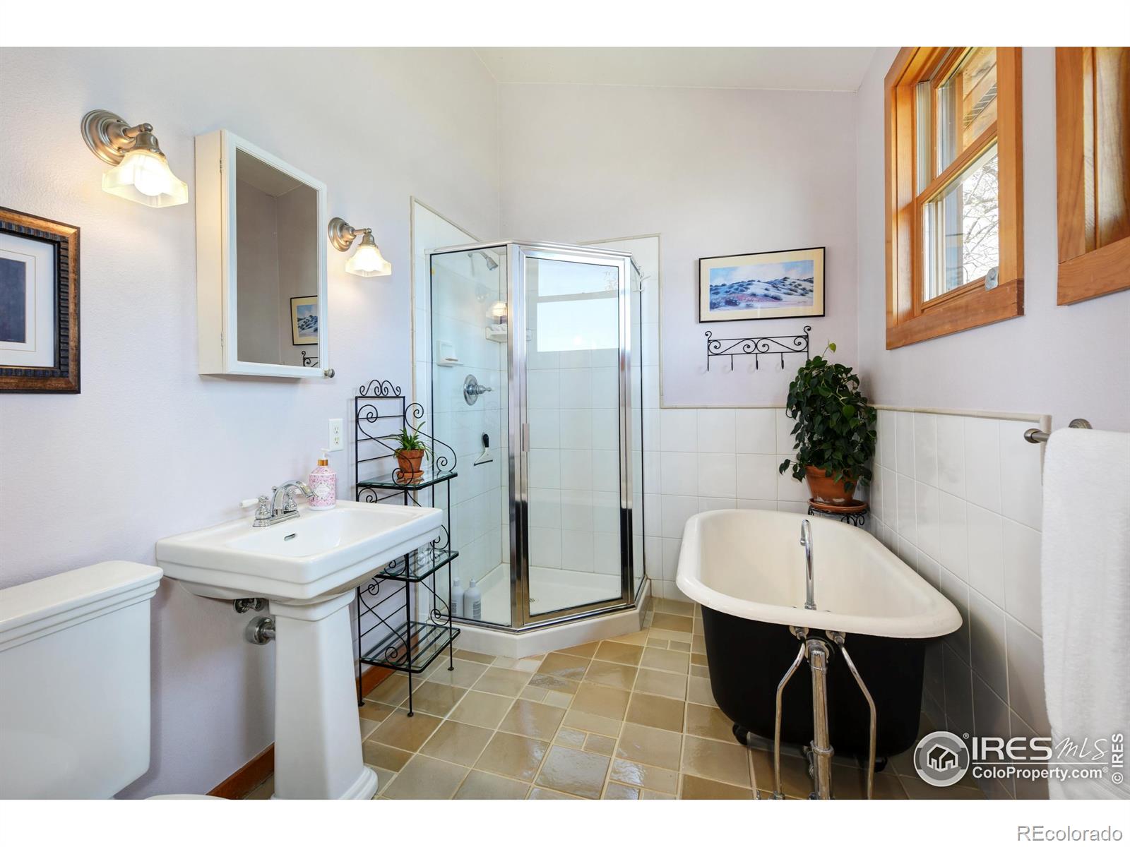 MLS Image #14 for 6363  lake drive,longmont, Colorado