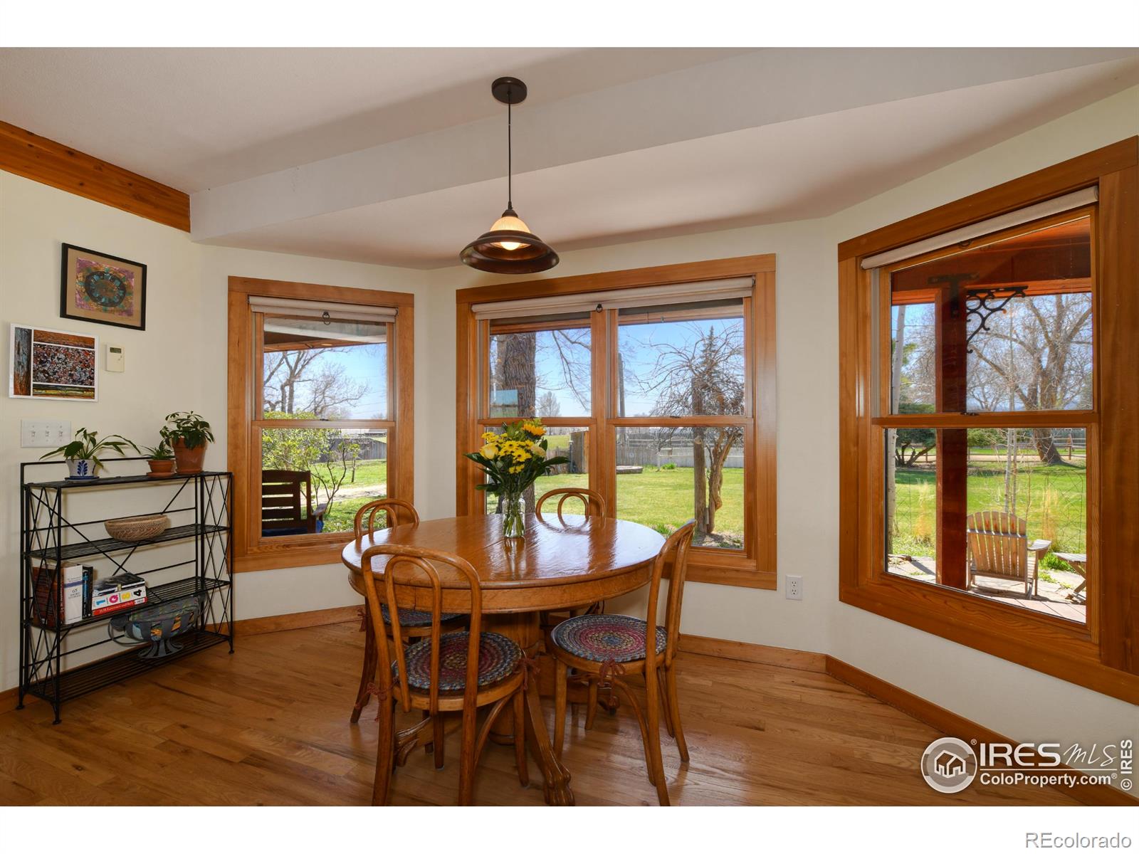 MLS Image #5 for 6363  lake drive,longmont, Colorado