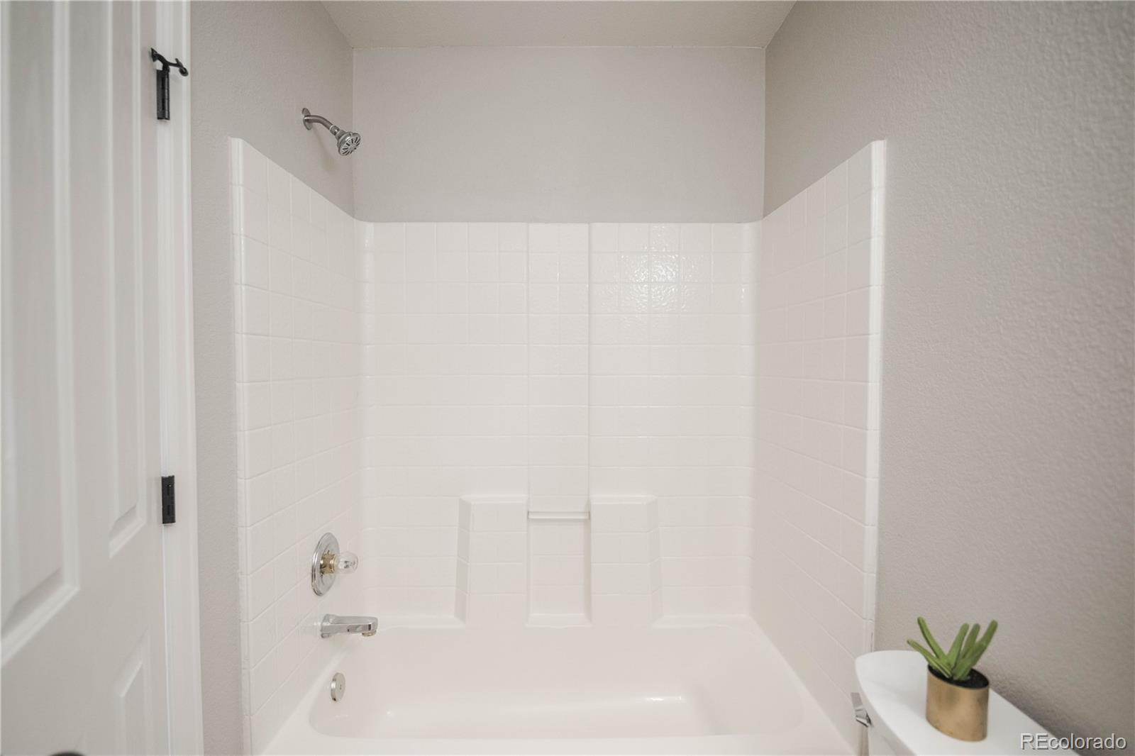 MLS Image #11 for 3427 w walsh place,denver, Colorado