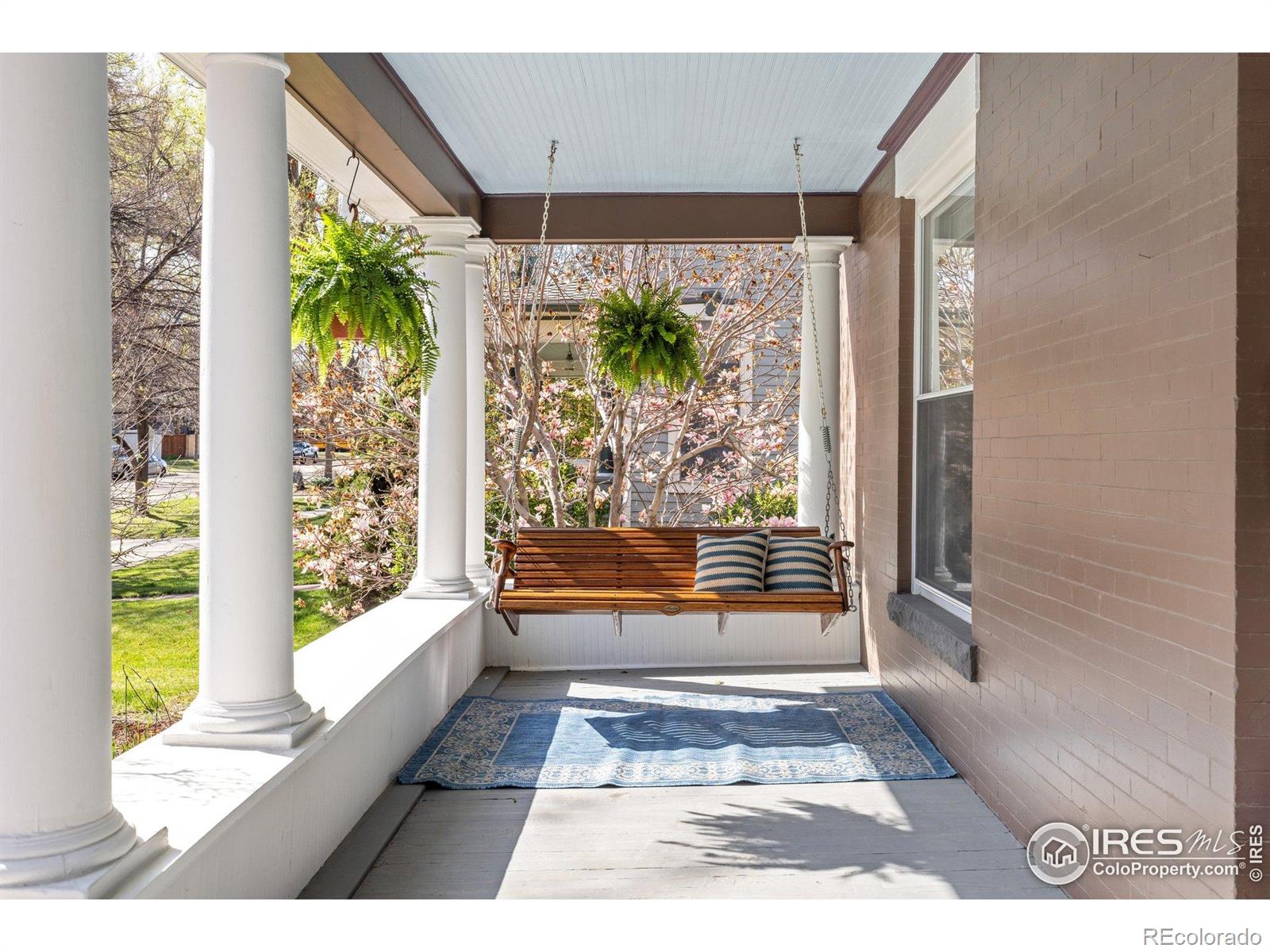 MLS Image #3 for 329  bross street,longmont, Colorado