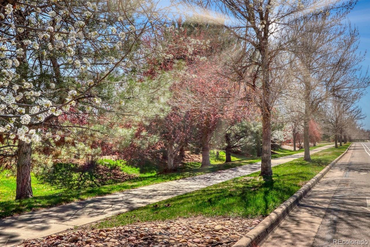 MLS Image #32 for 515  blue azurite avenue,loveland, Colorado