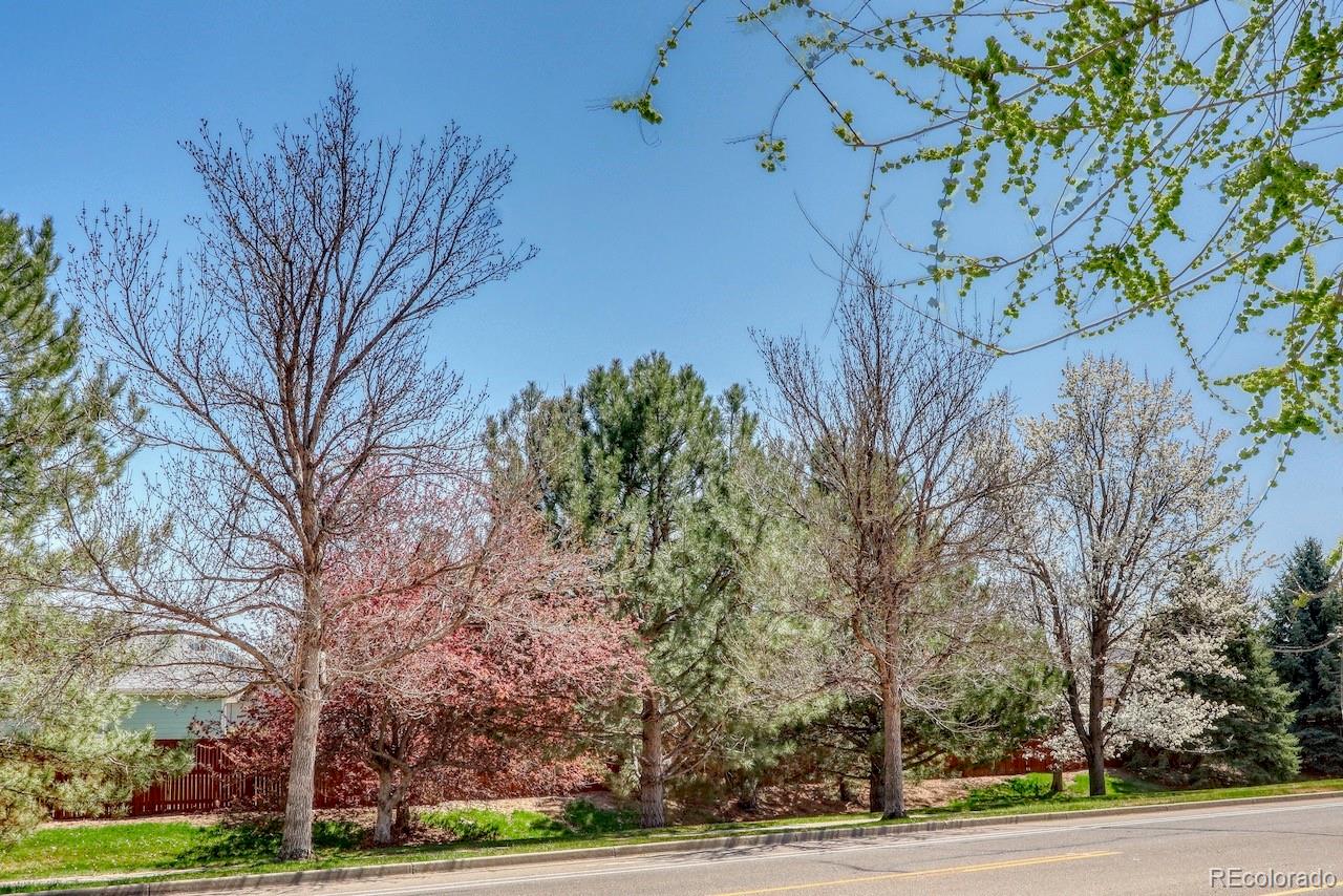 MLS Image #33 for 515  blue azurite avenue,loveland, Colorado