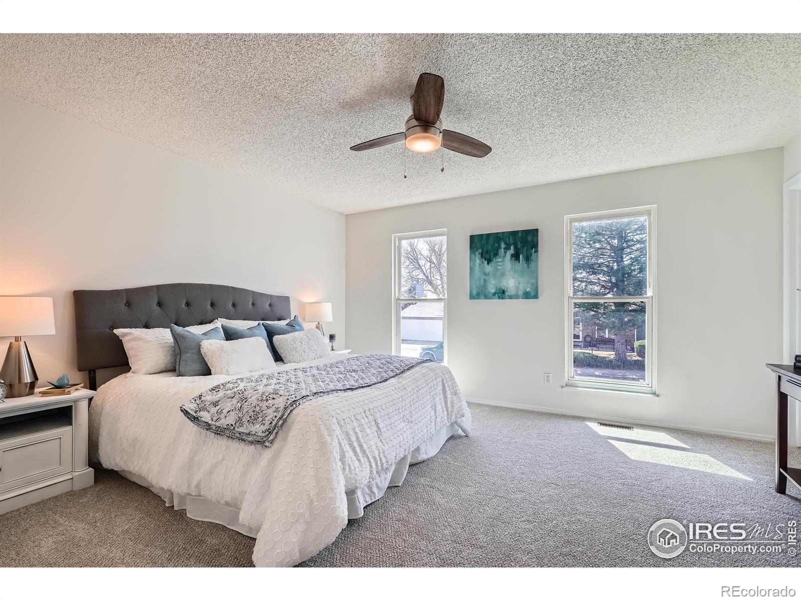 MLS Image #14 for 907  stein street,lafayette, Colorado