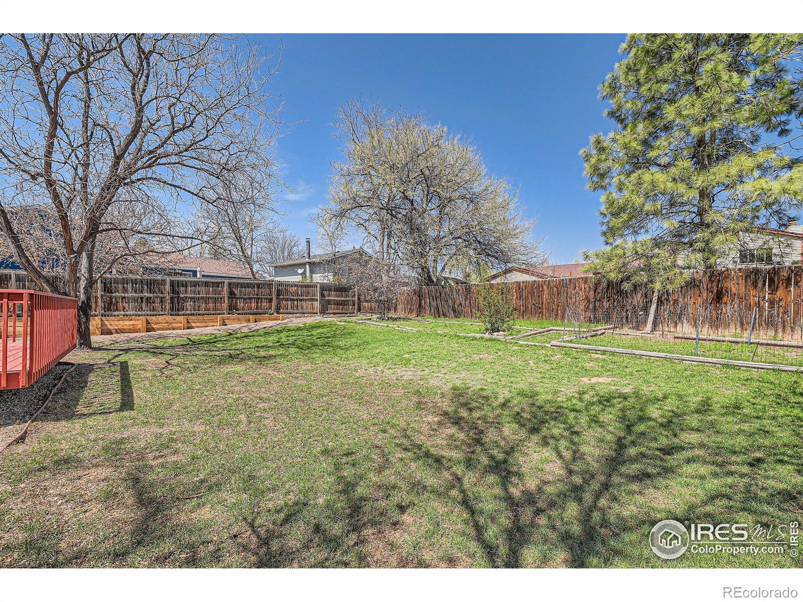 MLS Image #22 for 907  stein street,lafayette, Colorado