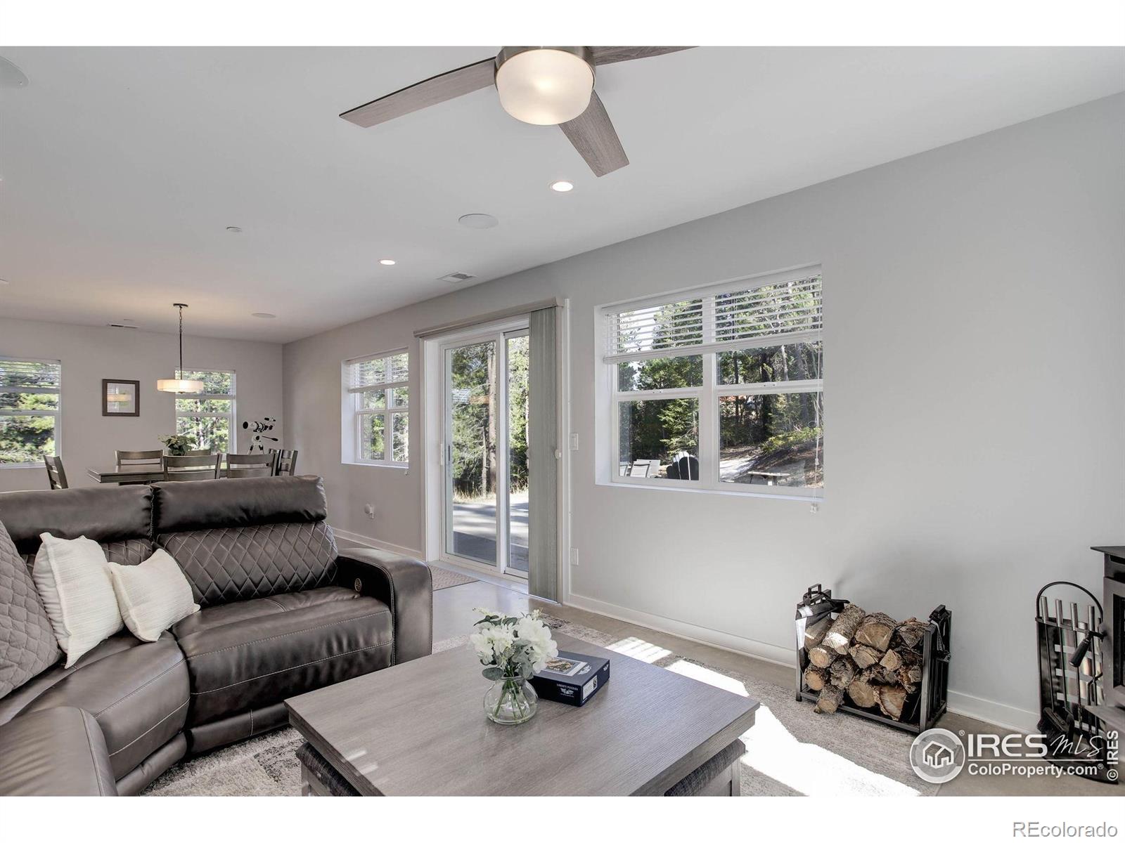 MLS Image #11 for 609  hummer drive,nederland, Colorado