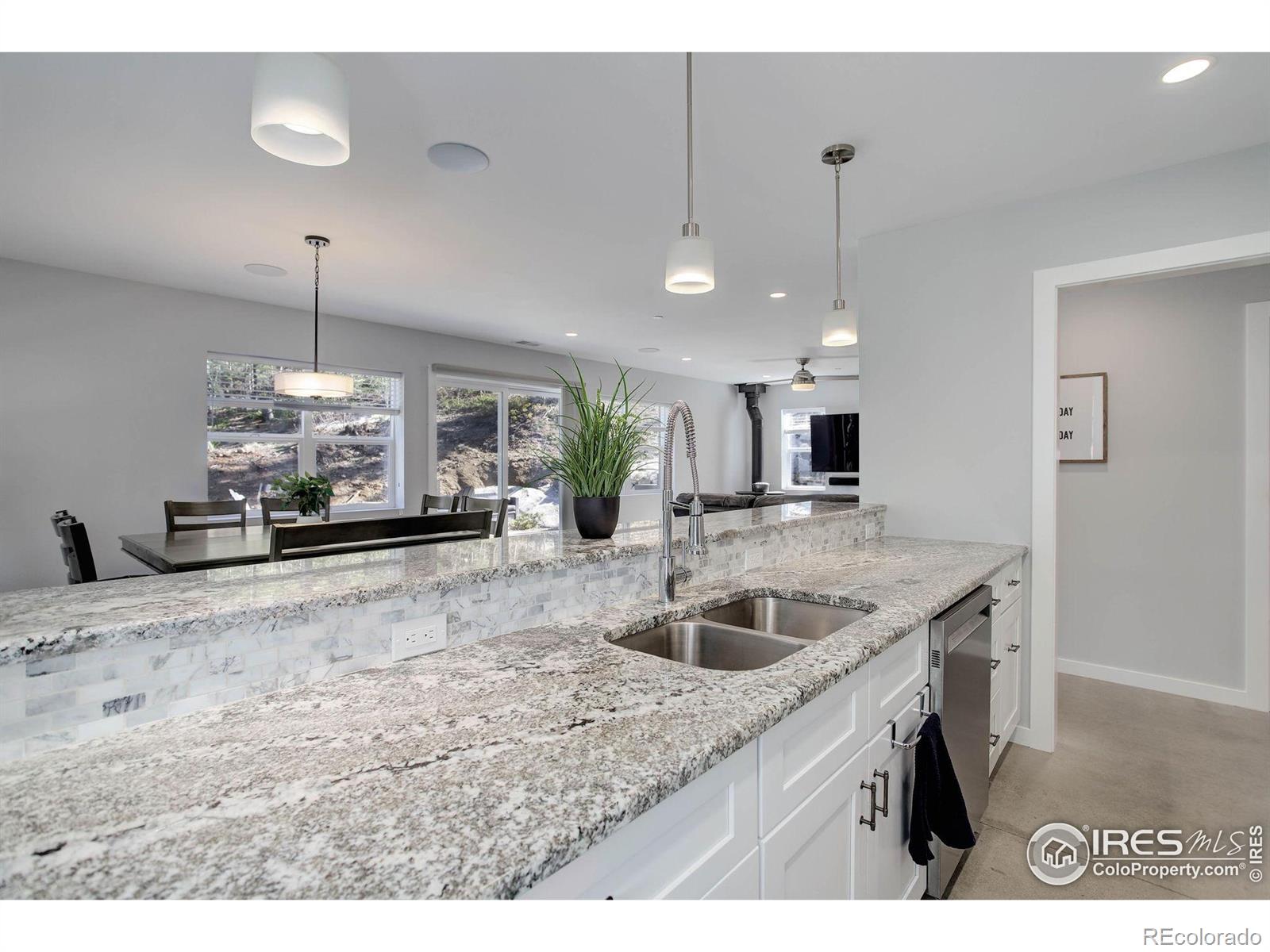 MLS Image #5 for 609  hummer drive,nederland, Colorado