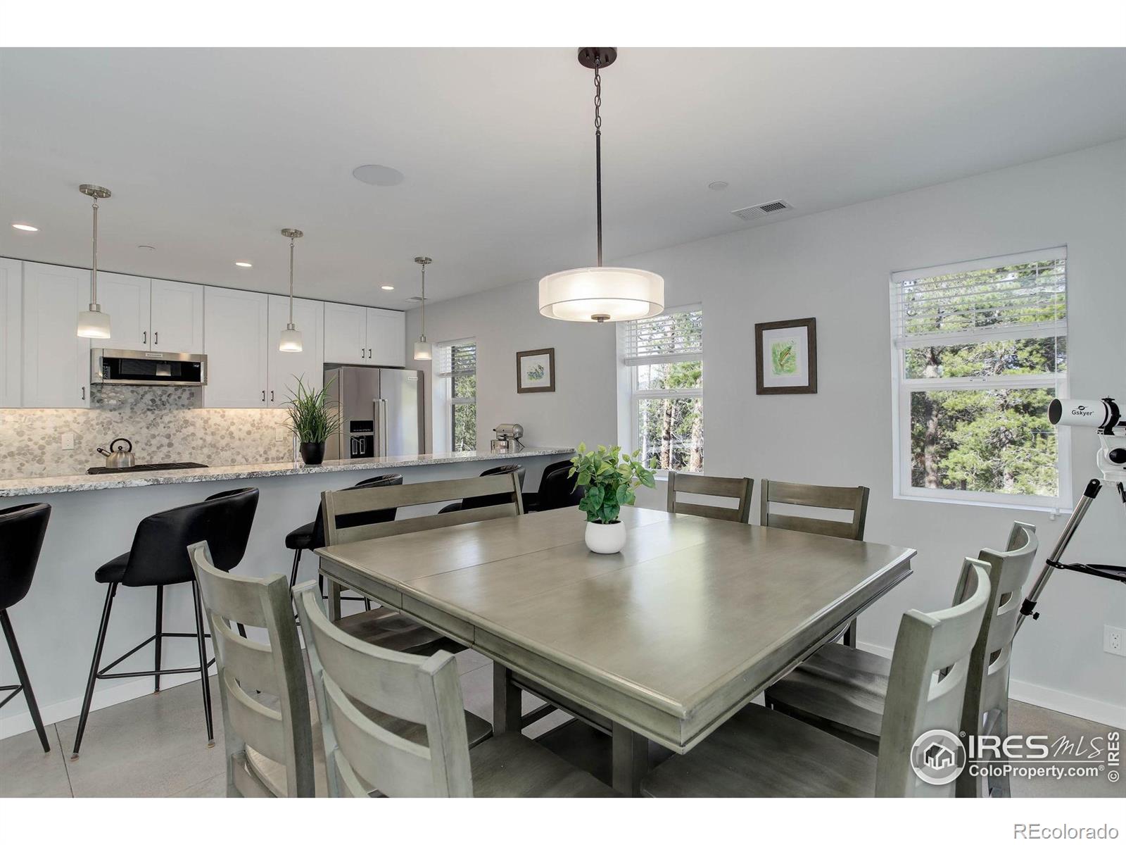 MLS Image #6 for 609  hummer drive,nederland, Colorado