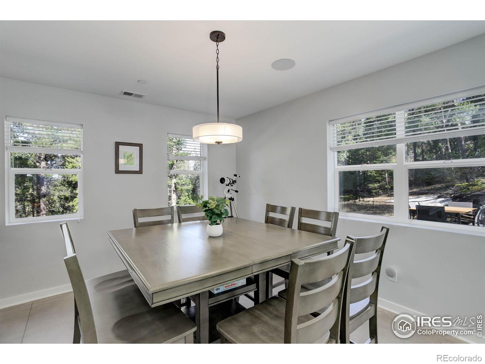MLS Image #7 for 609  hummer drive,nederland, Colorado