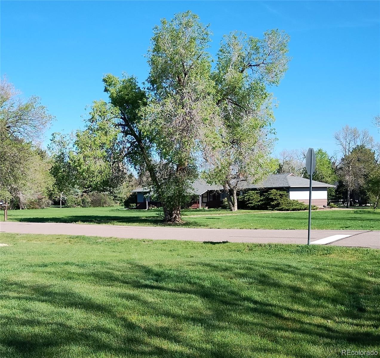 MLS Image #7 for 4901  redwood drive,littleton, Colorado