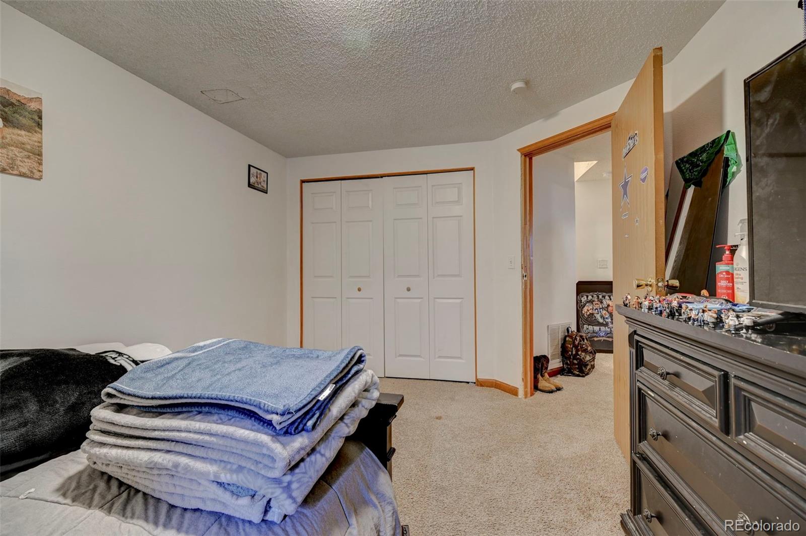 MLS Image #12 for 1105  lindstrom drive,colorado springs, Colorado