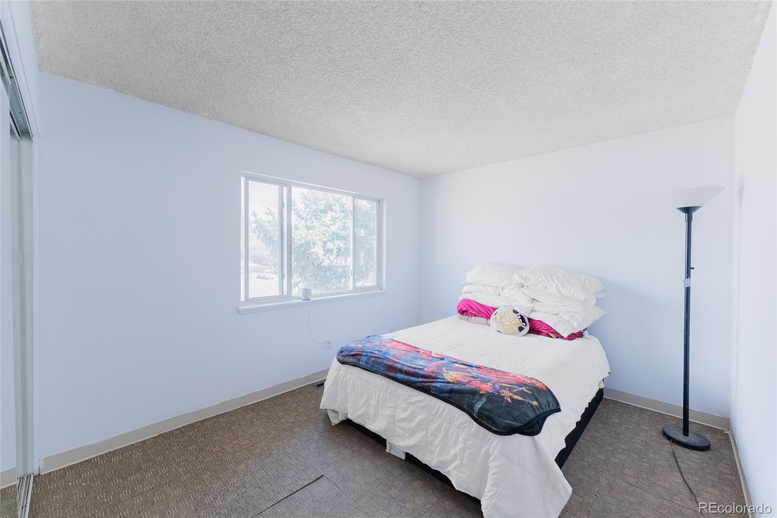 MLS Image #5 for 7845  conifer road,denver, Colorado