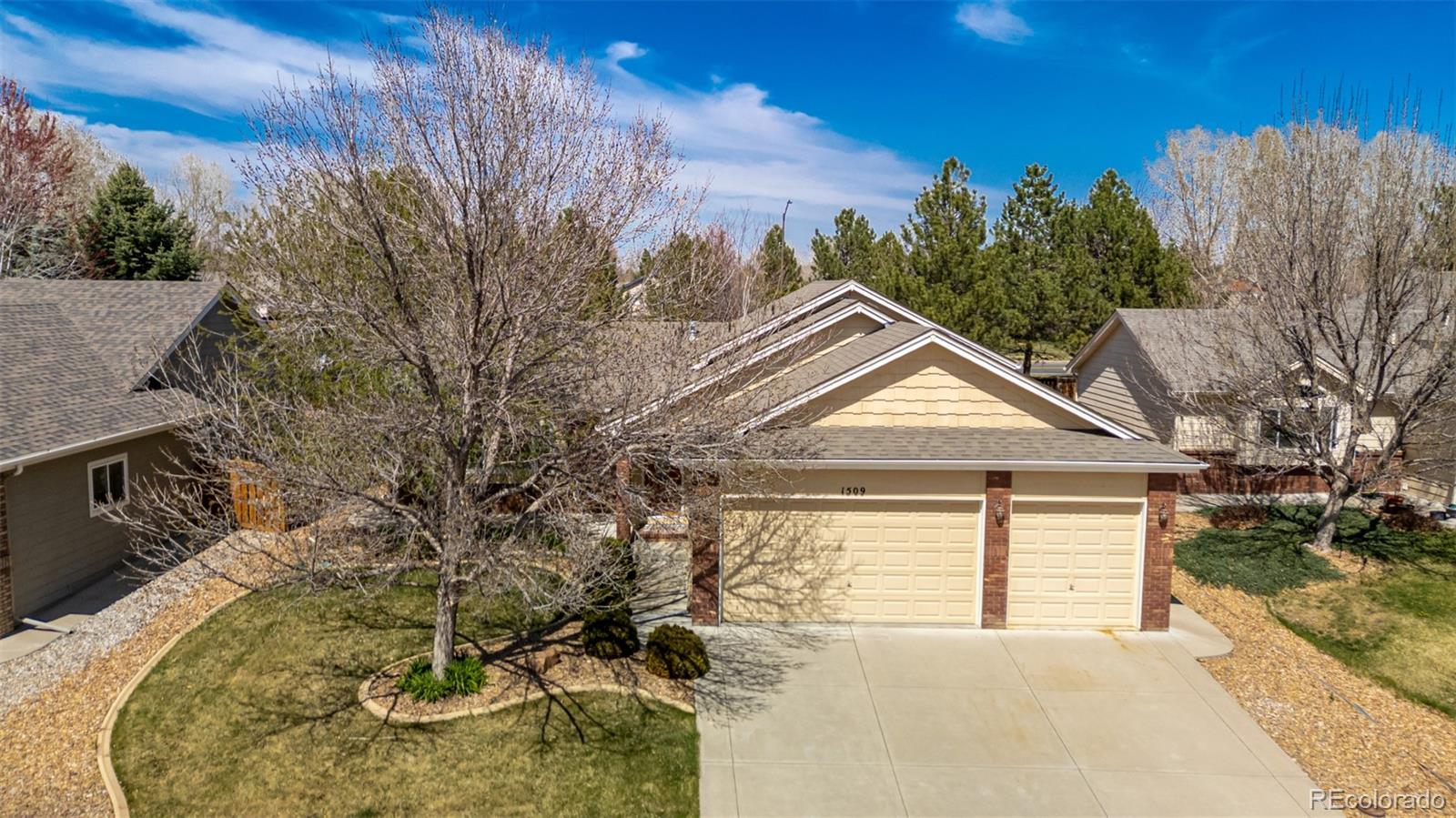 MLS Image #2 for 1509  la jara street,loveland, Colorado