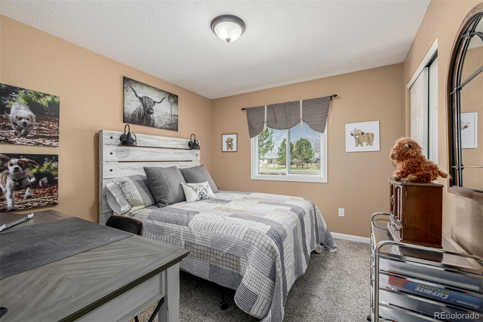 MLS Image #25 for 1509  la jara street,loveland, Colorado