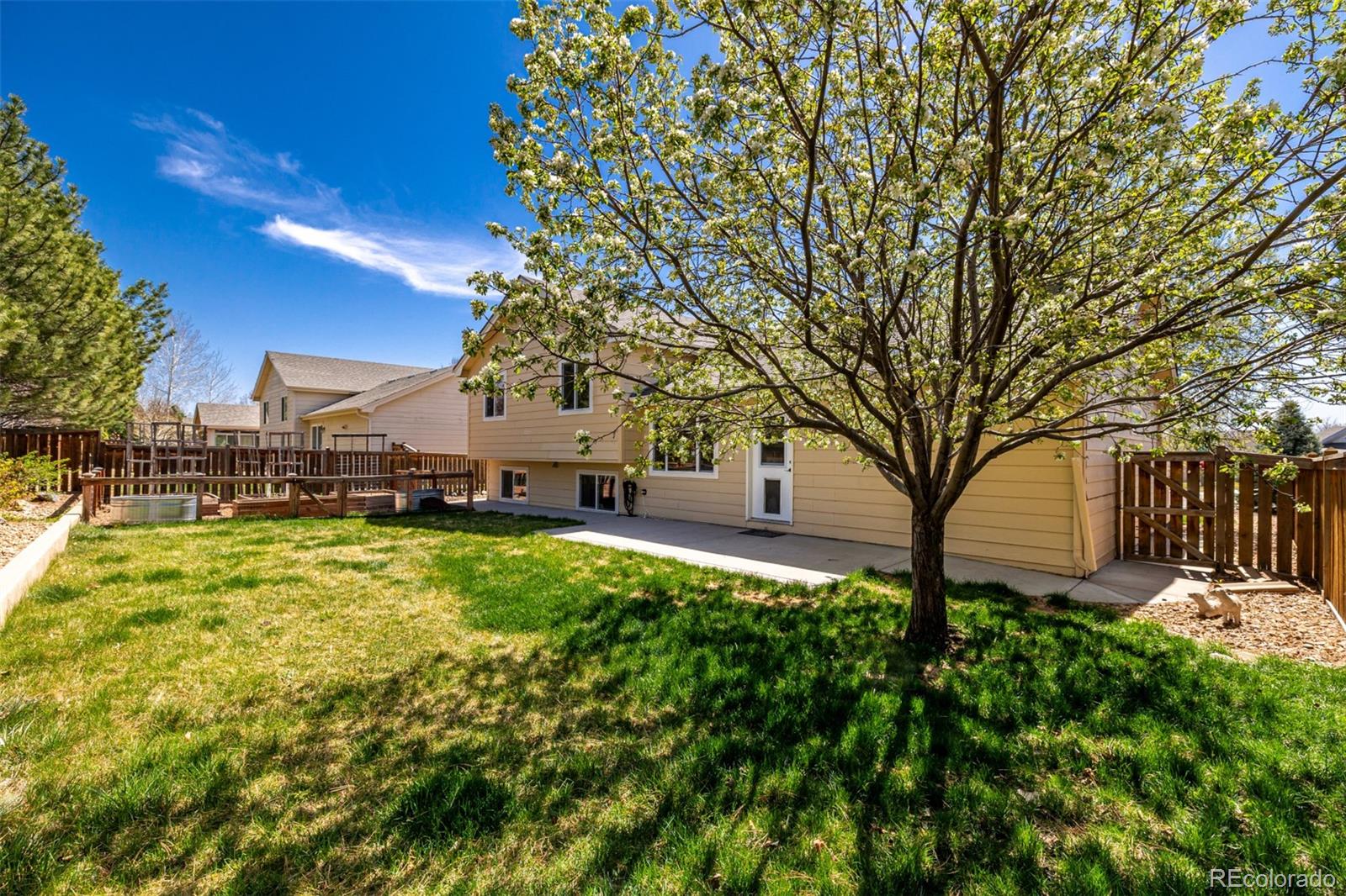 MLS Image #38 for 1509  la jara street,loveland, Colorado