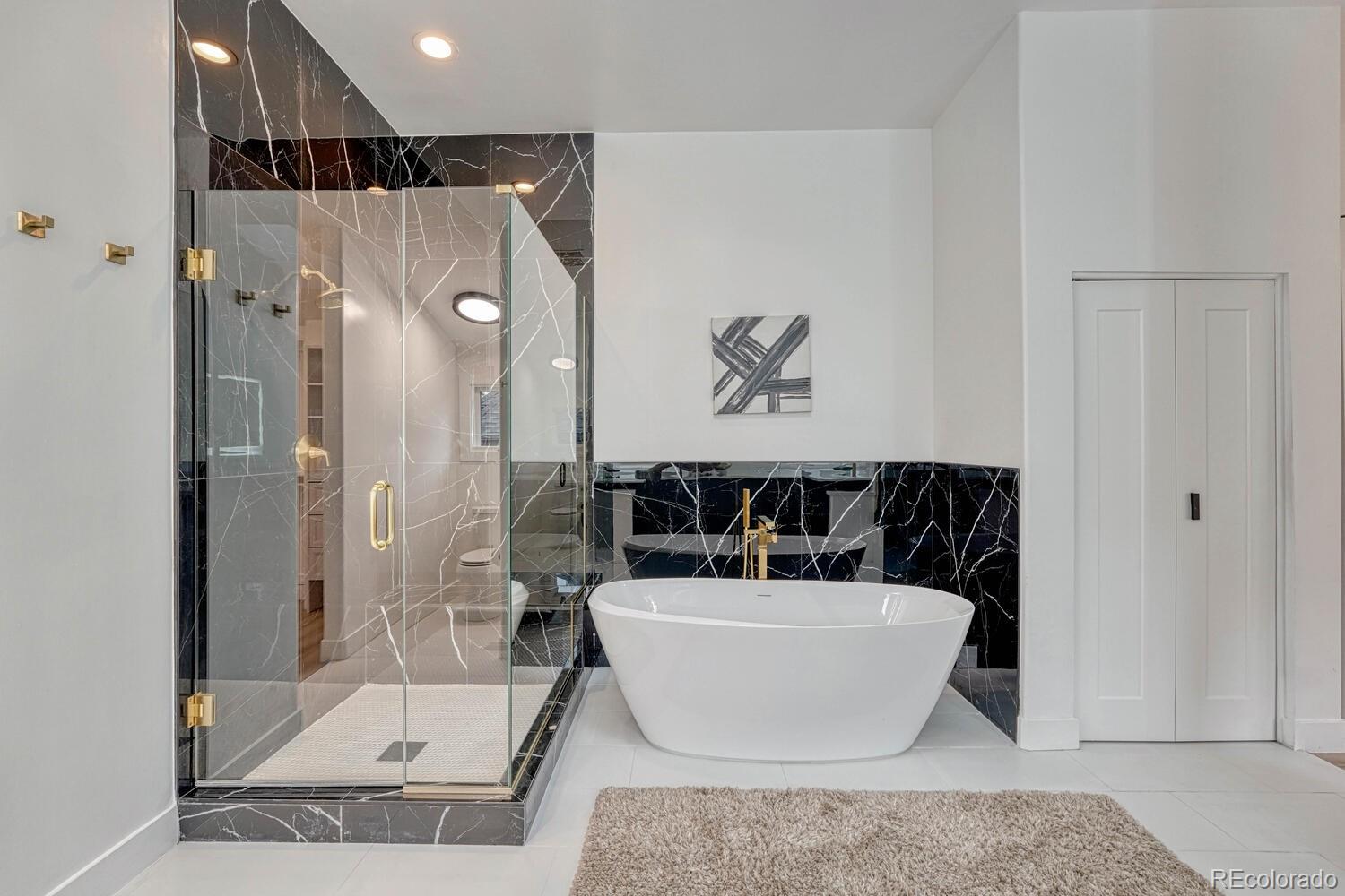 MLS Image #29 for 520  columbine street,denver, Colorado