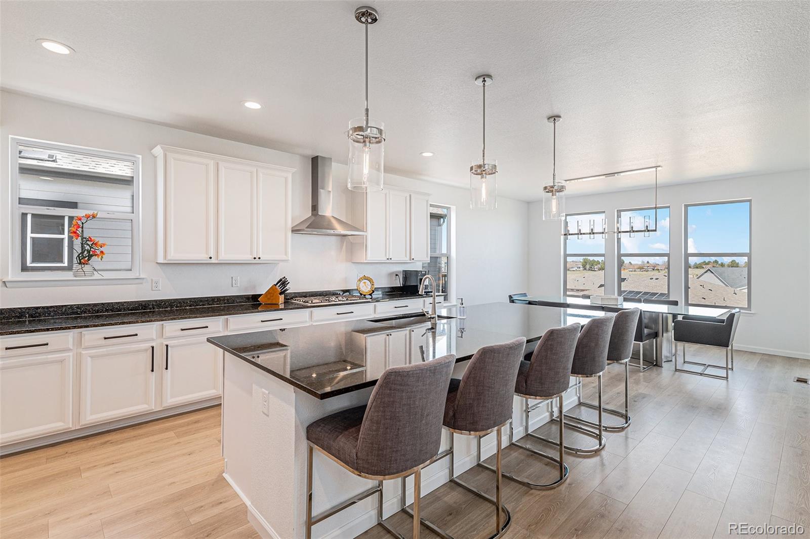 MLS Image #10 for 89  clara place,castle pines, Colorado